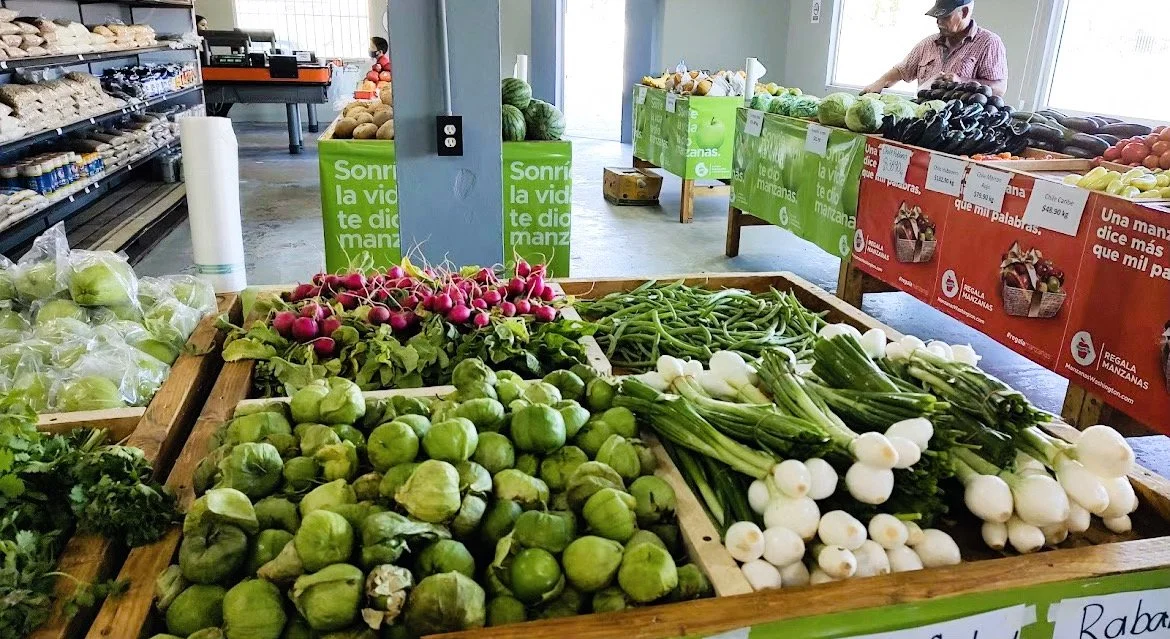 Fresh produce market with vegetables like radishes, tomatillos, green beans, and onions displayed on wooden tables.
