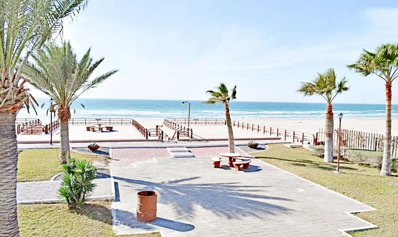 Beachfront with palm trees, wooden boardwalk, benches, and trash bins, overlooking the ocean.