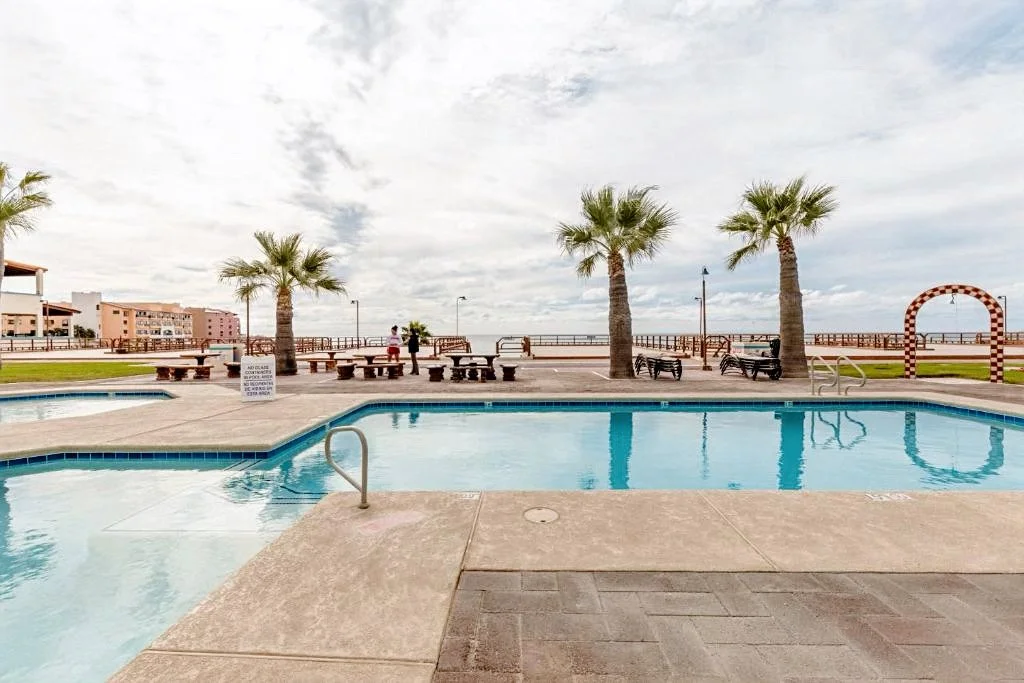 Outdoor swimming pool area with palm trees, lounge chairs, and ocean view.
