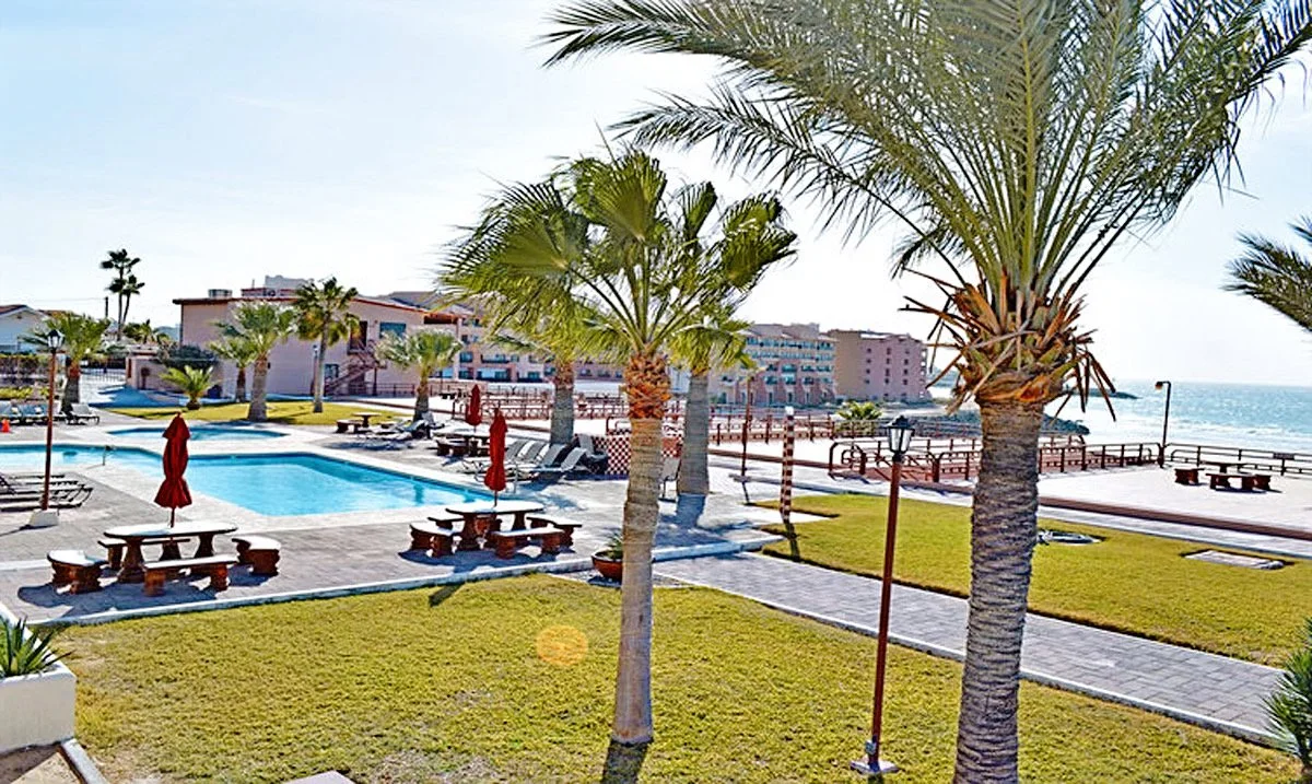 Resort pool area with palm trees, picnic tables, and lounge chairs near the ocean.