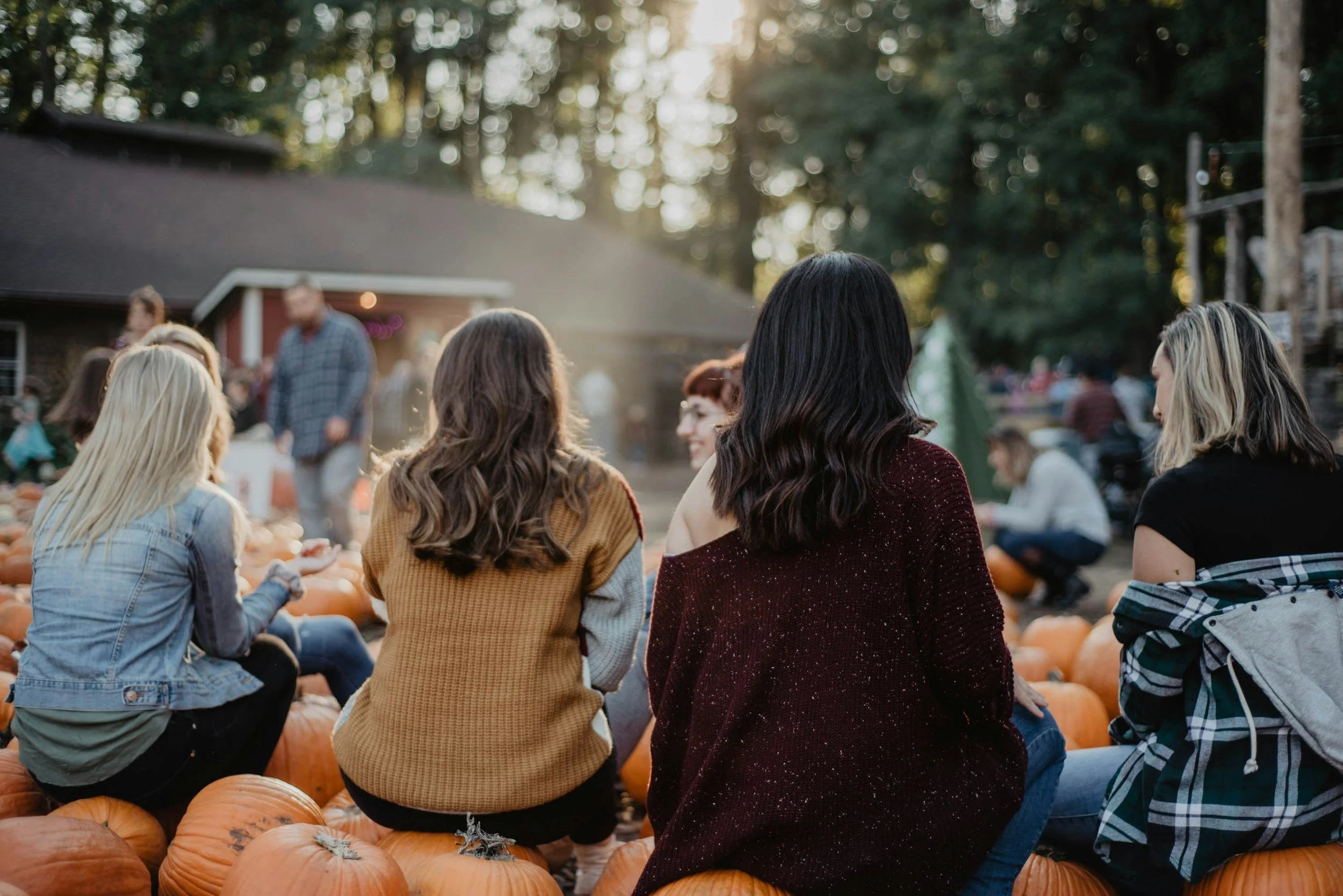 A group of people sitting on pumpkins at an outdoor pumpkin patch during daytime, with trees and a house in the background.
