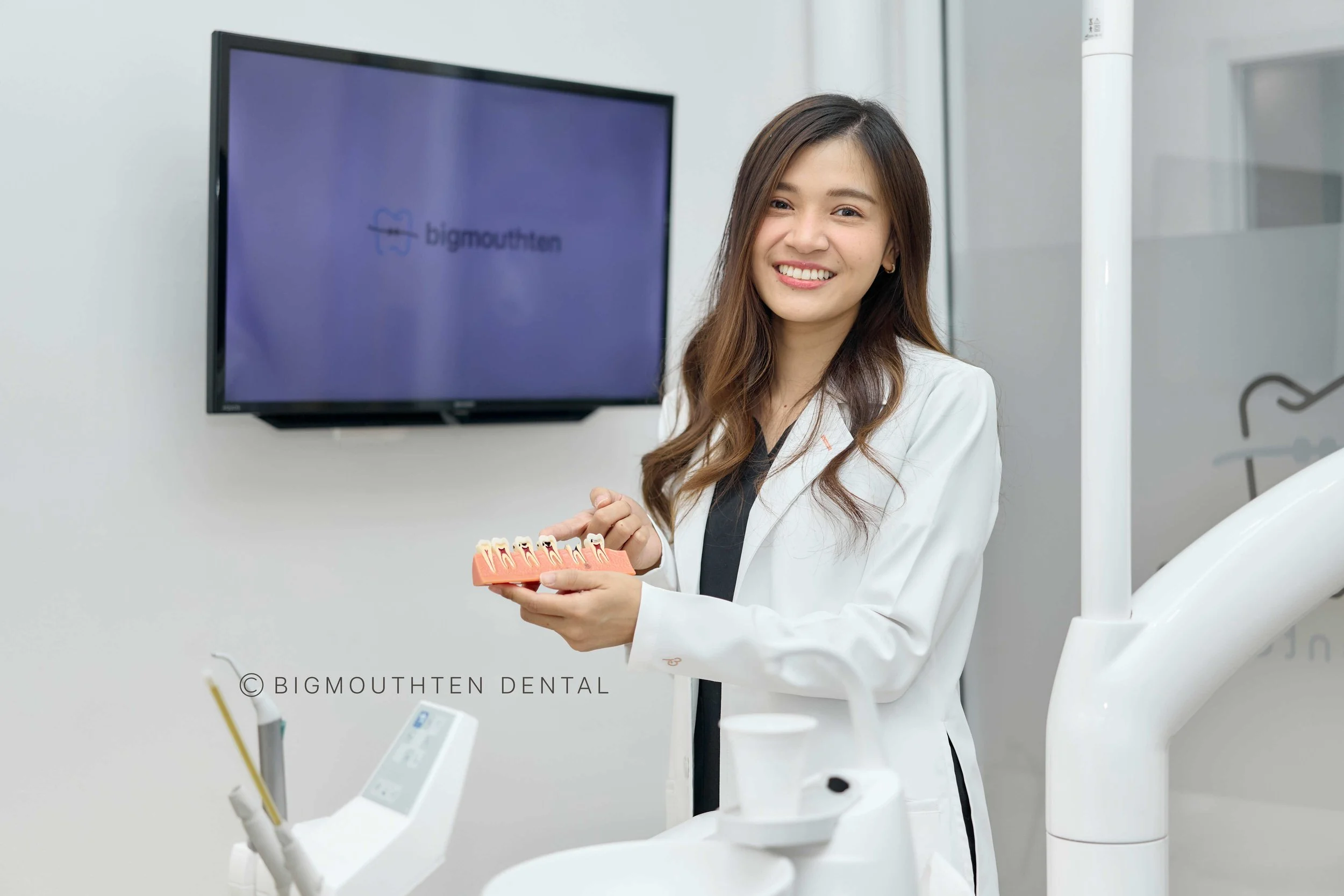 dentist explaining cavity filling with tooth model chiangmai | หมออธิบายการอุดฟันด้วยโมเดลฟัน เชียงใหม่