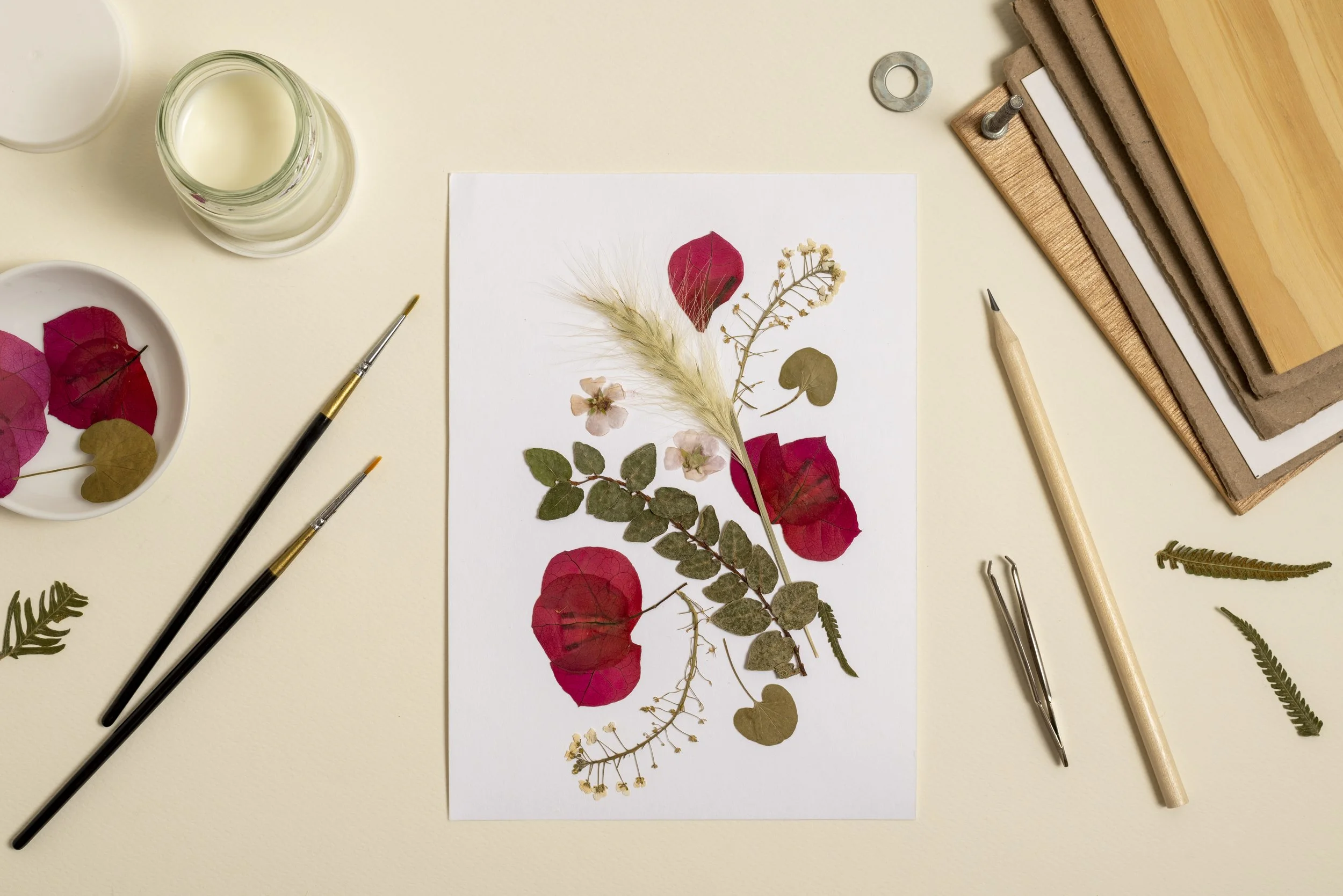 Herbiers : Tableau de fleurs pressées