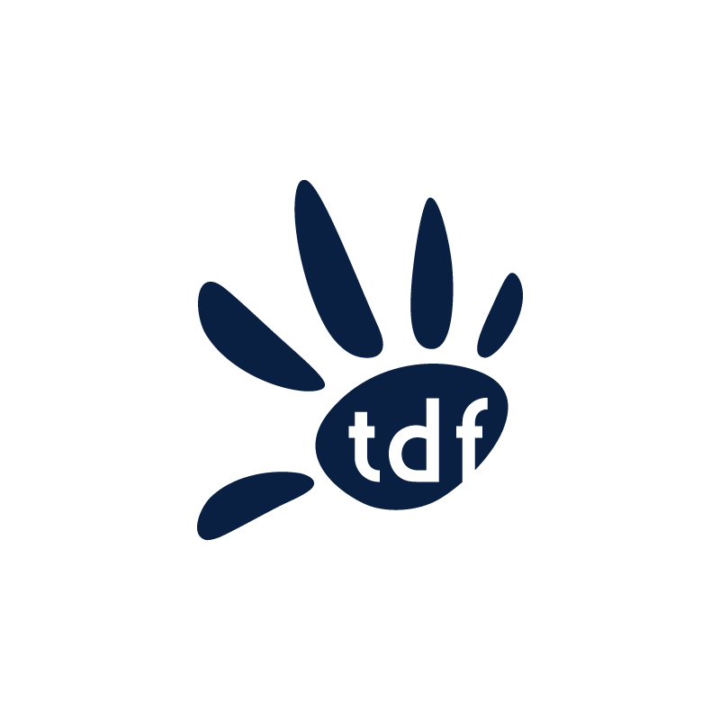 5G Task Force_TDF.png