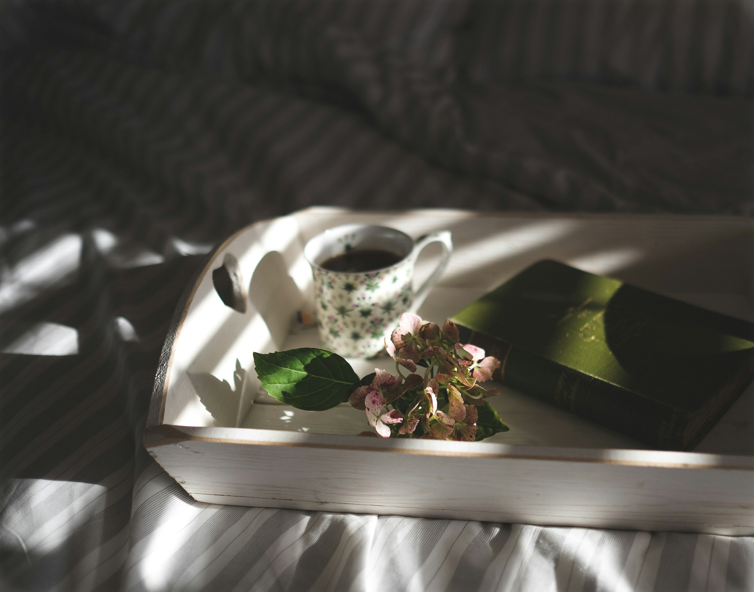 unsplash-image-xGxQKw-uRkc.jpg