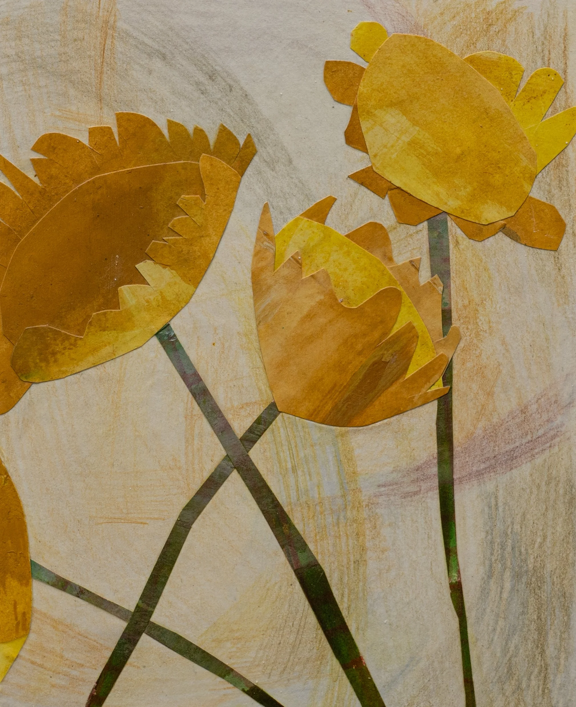 Wildscape Exhibition