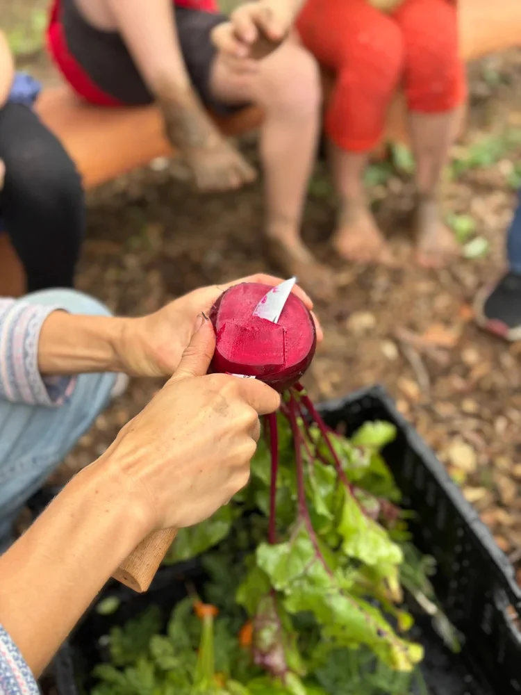 Sommerfrische - Ferienprogramm für Kinder von 6-10