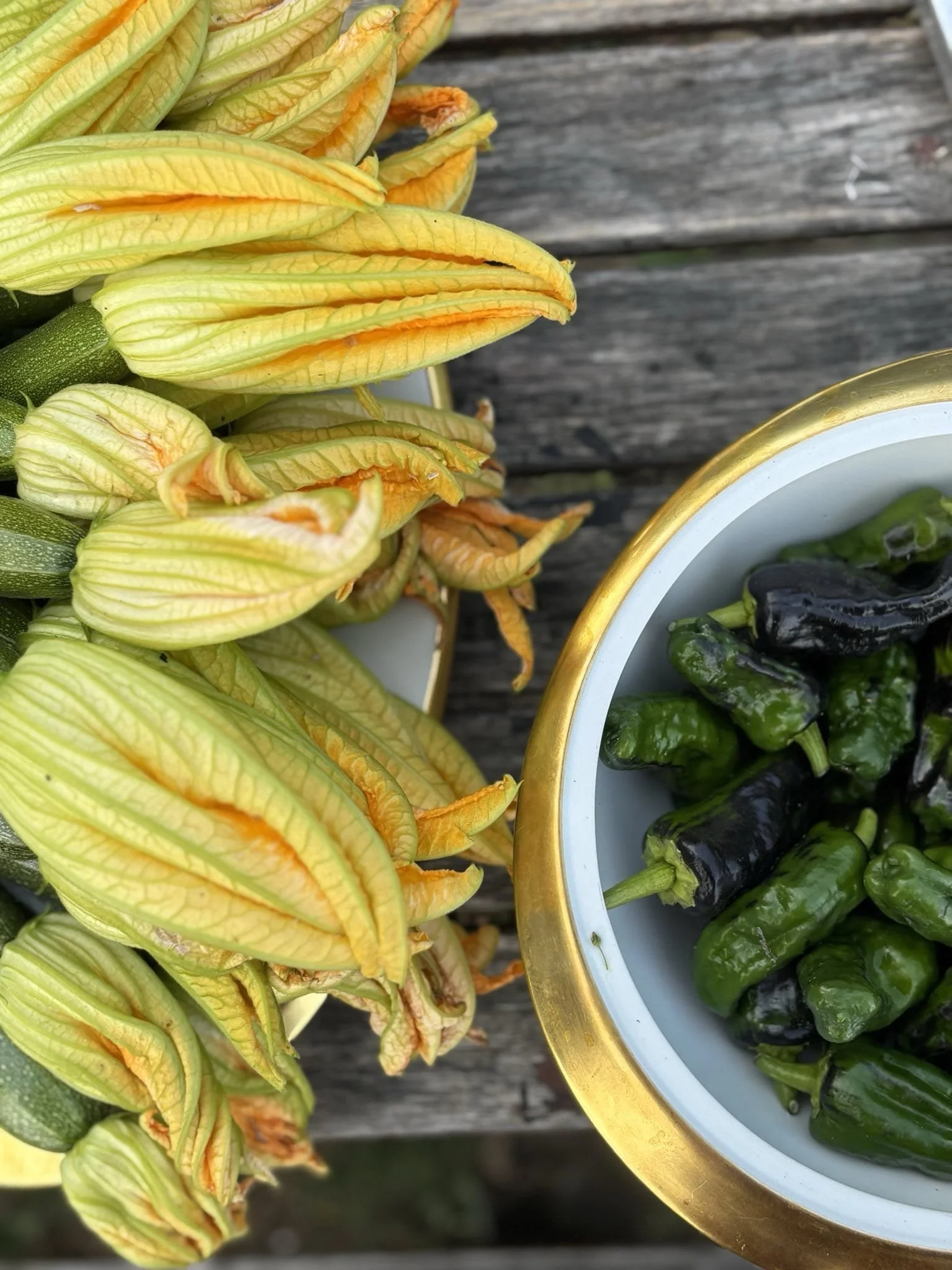 WhatsApp Image 2025-11-17 at 11.49.03 (2).jpeg