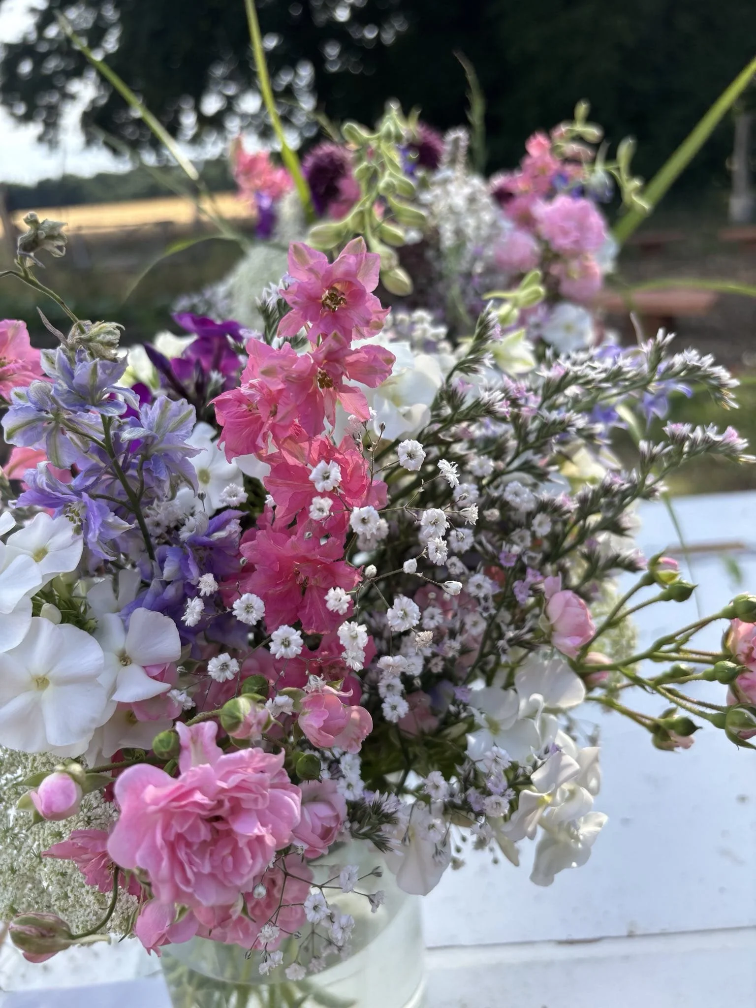 WhatsApp Image 2025-11-17 at 11.49.05 (1).jpeg