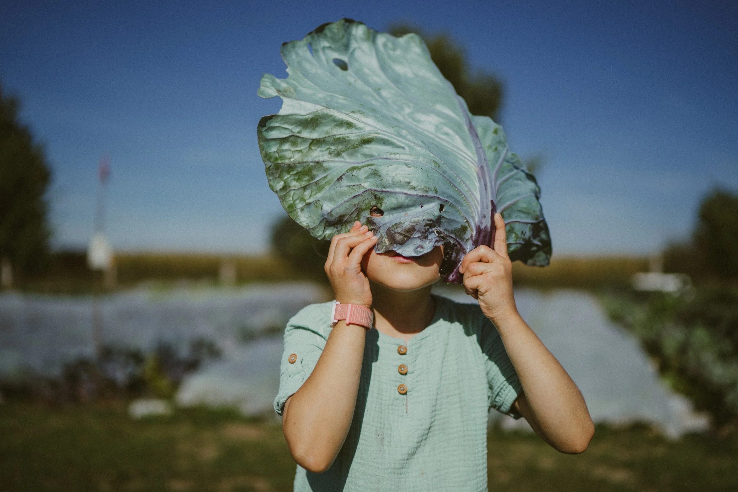 Sommerfrische - Ferienprogramm für Kinder von 6-10