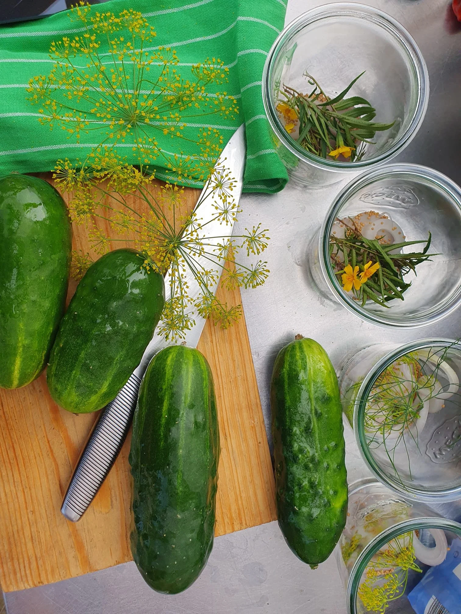 Fermentationskurs am 11.10.2026 von 14-17 Uhr