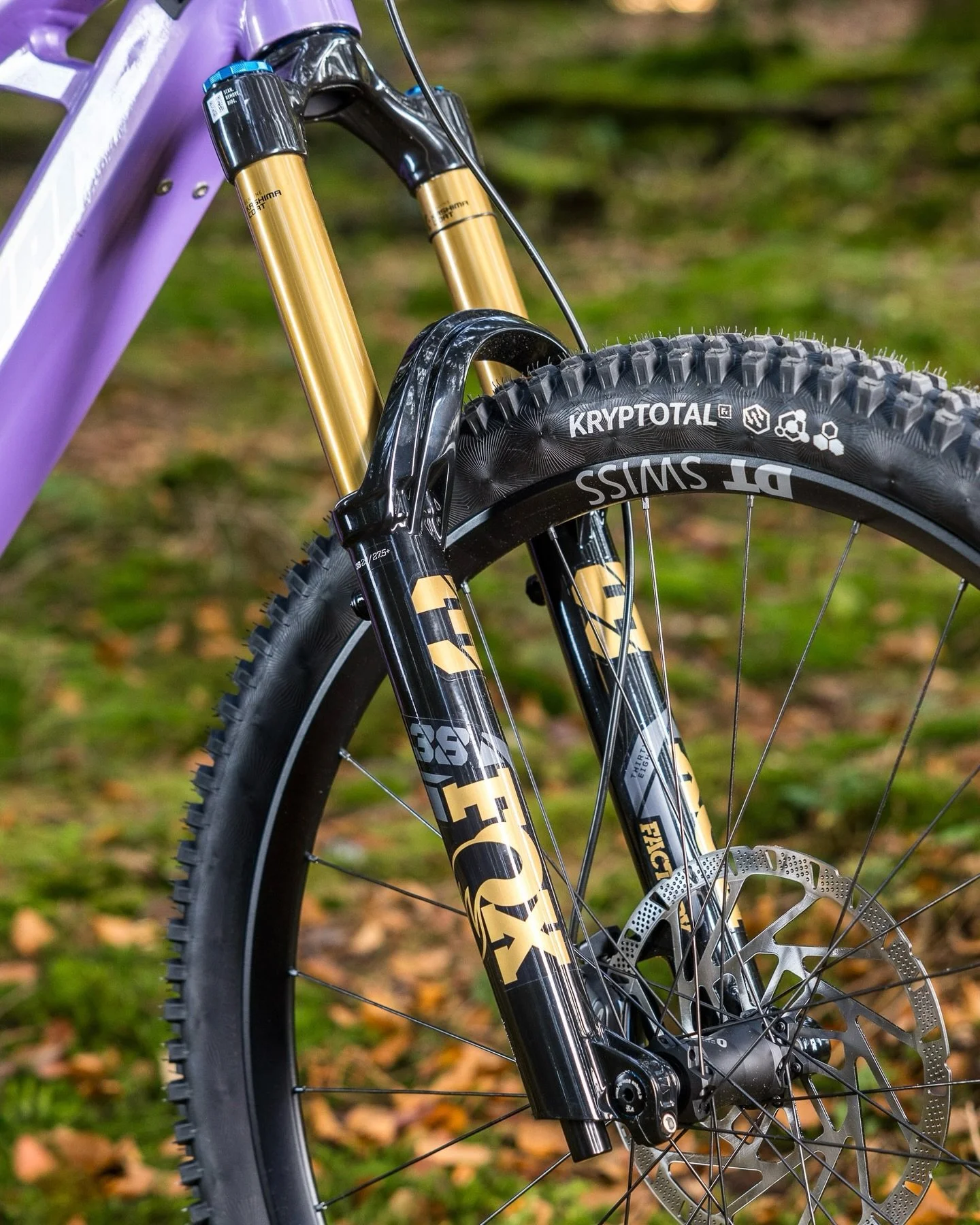 Nicolai Social 15.jpg