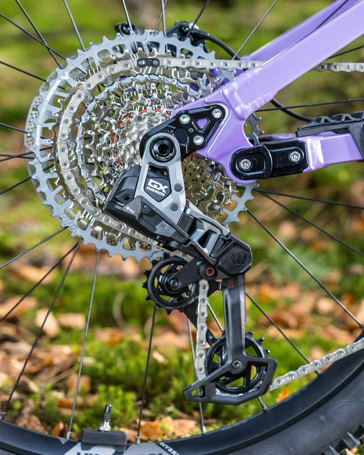 Nicolai Social 13.jpg