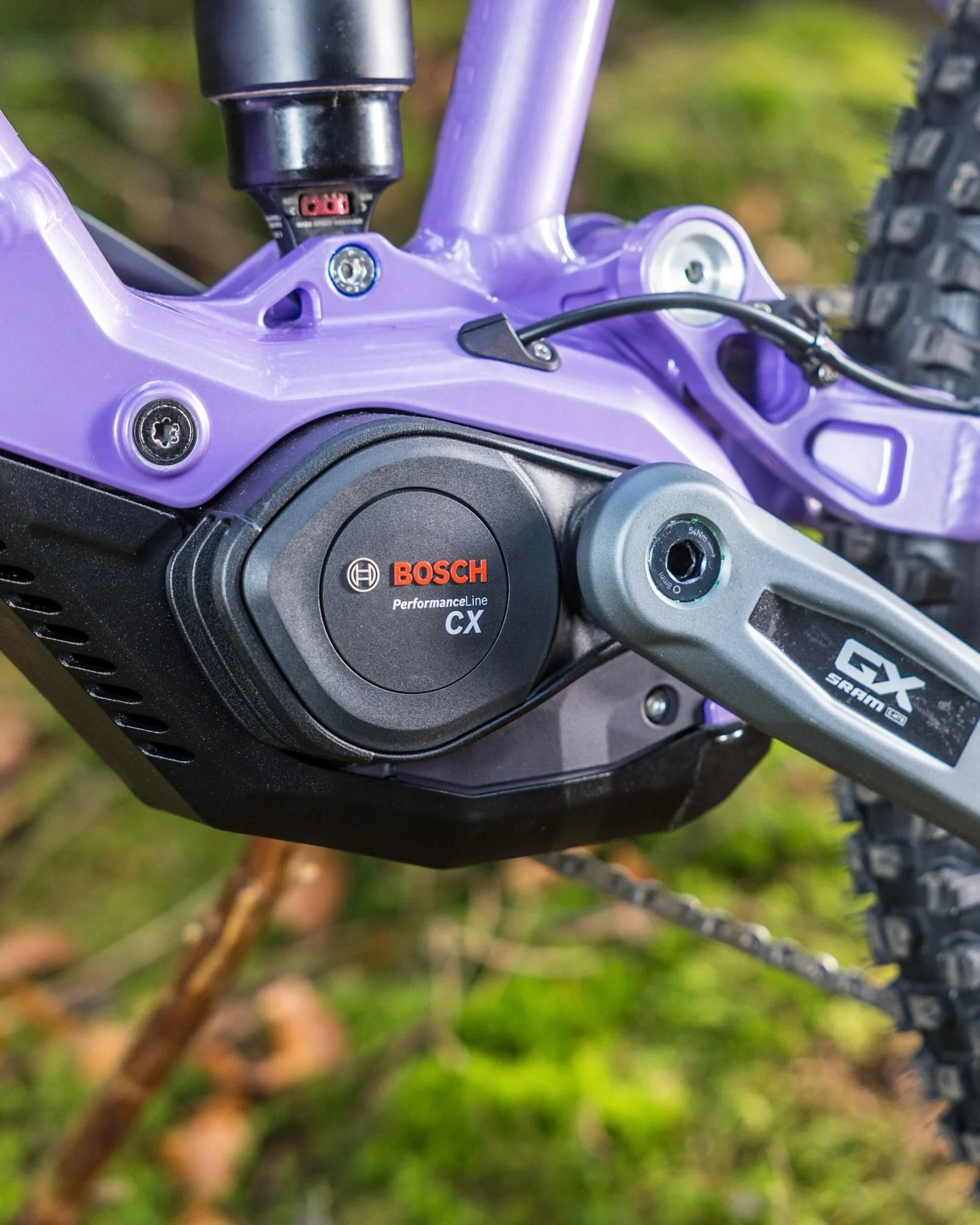 Nicolai Social 10.jpg