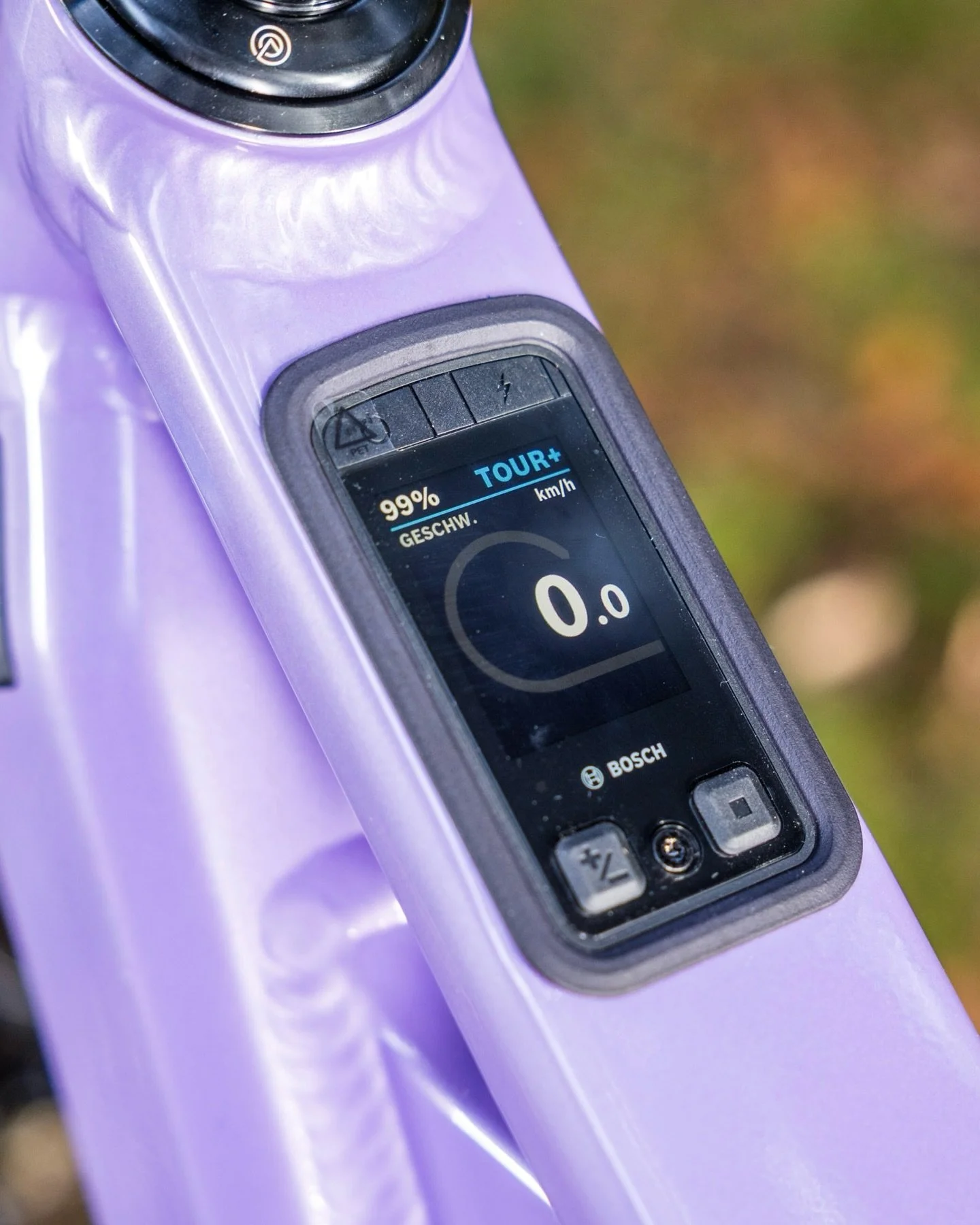 Nicolai Social 9.jpg