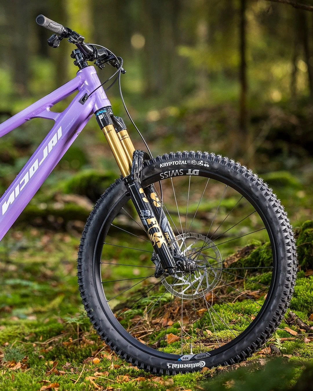 Nicolai Social 6.jpg