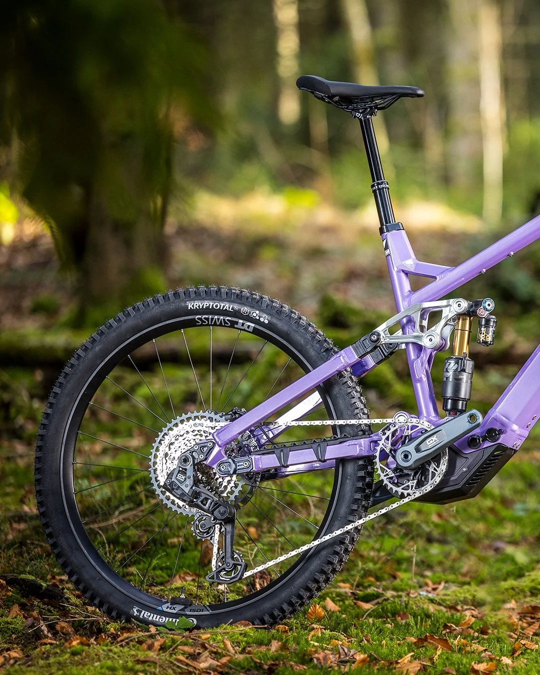 Nicolai Social 5.jpg