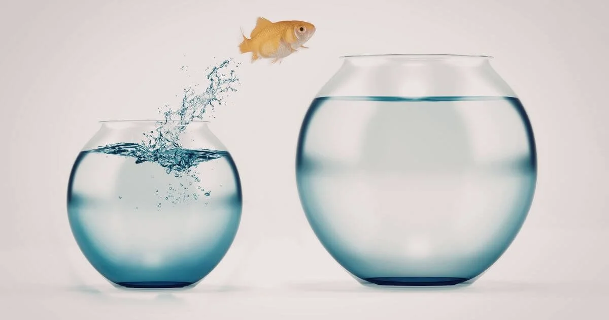 A golfish jumping from a small bowl to a larger bowl. Christian counseling for life transitions.