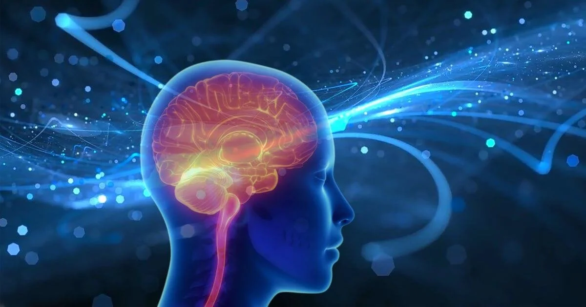 Christian therapy and neuroscience concept showing a glowing brain and nervous system in a human profile