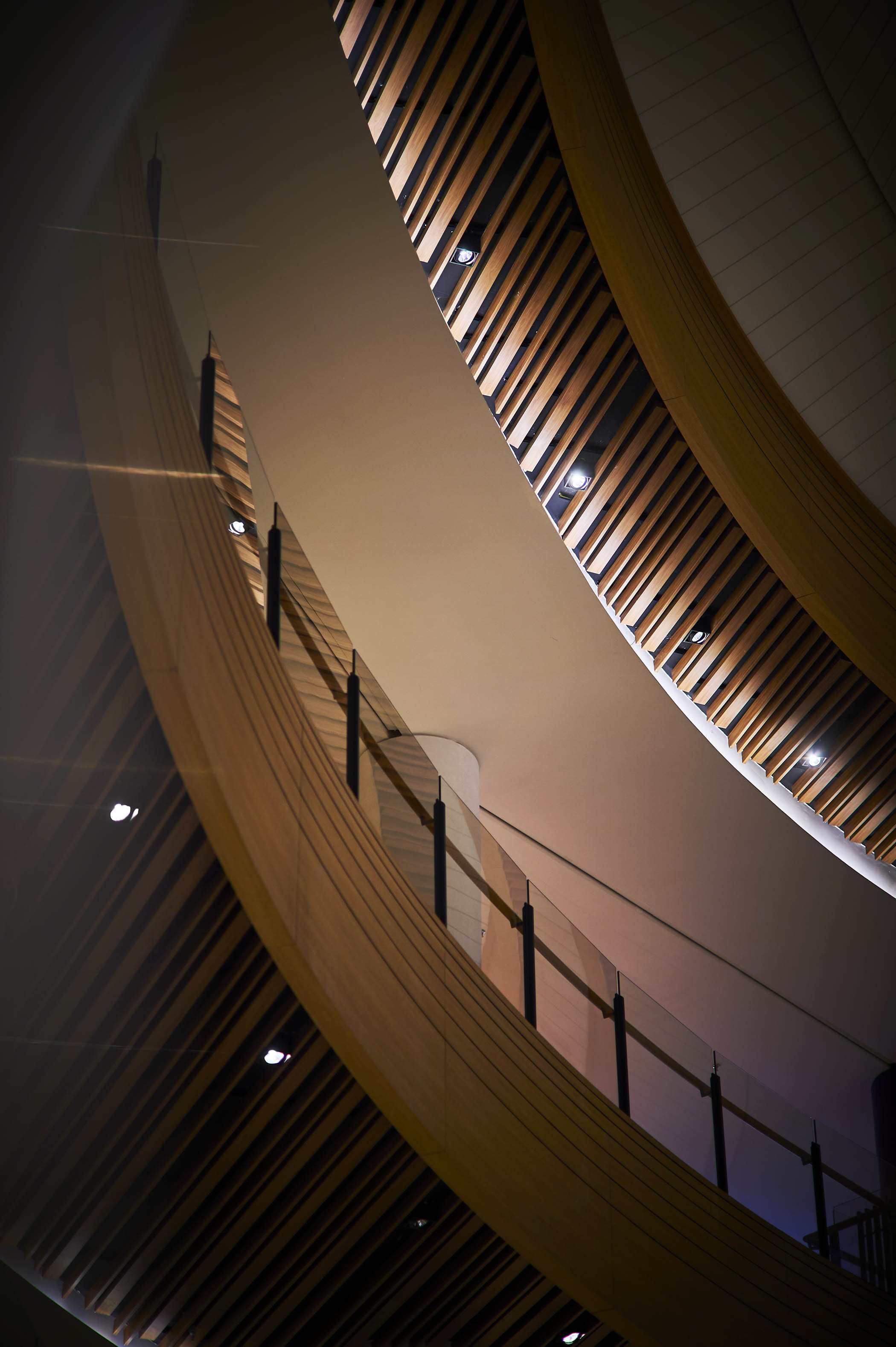 BDSN-TG_Mall_ 70.jpg