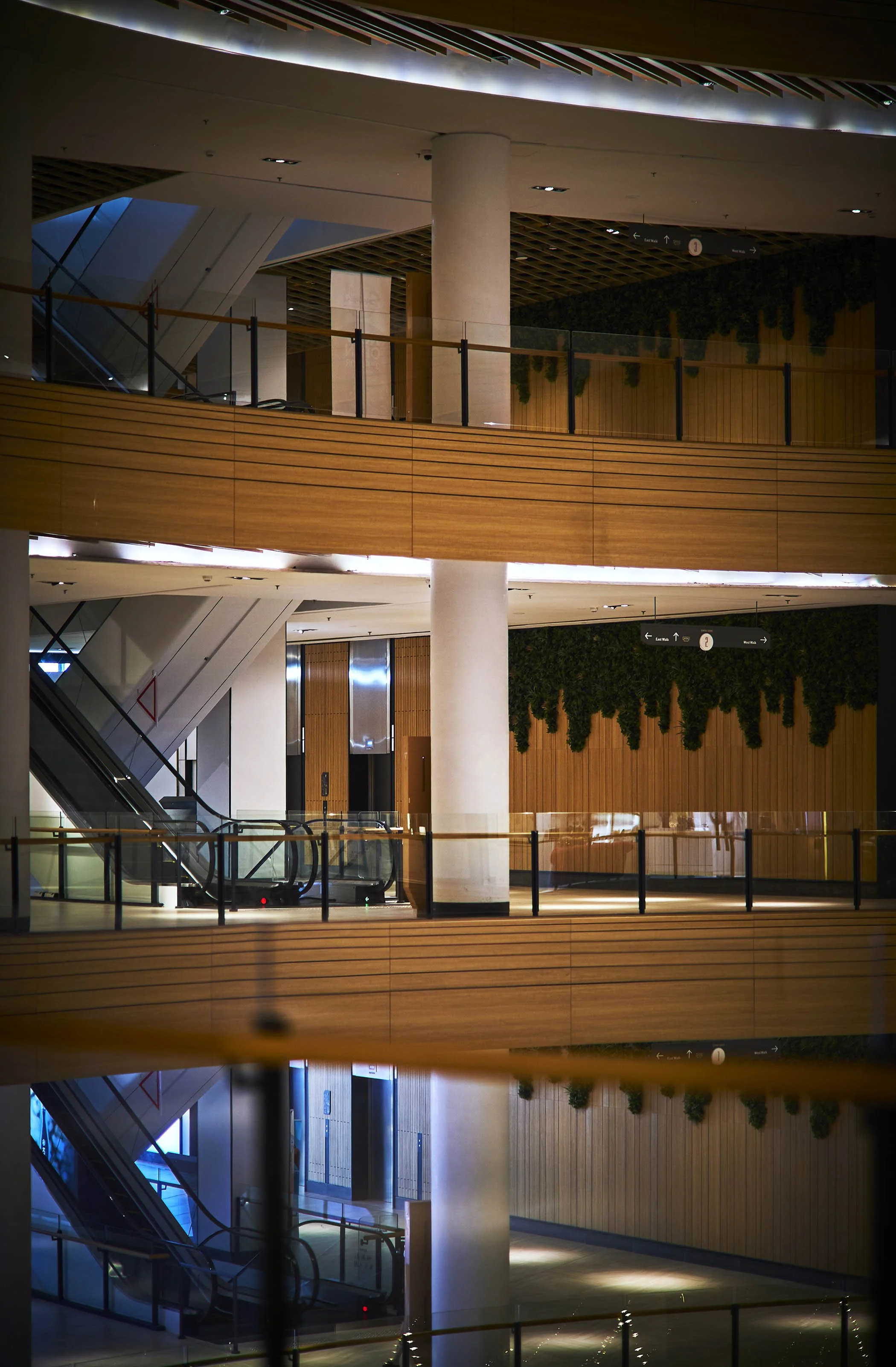 BDSN-TG_Mall_ 88.jpg