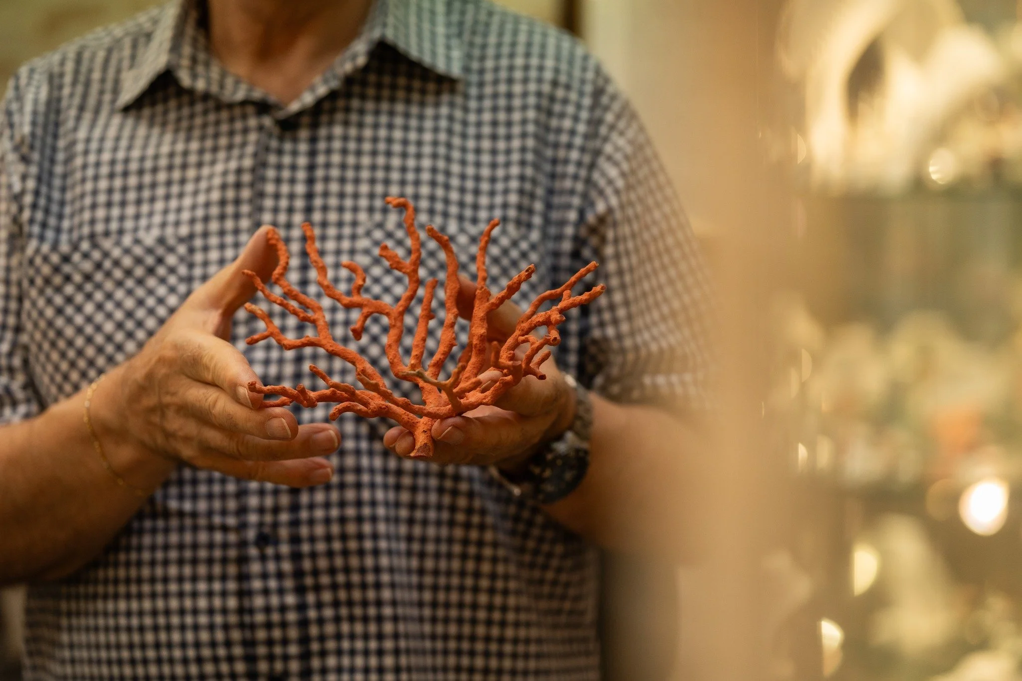 Prima di diventare gioiello,
il corallo &egrave; materia viva.

Porta il tempo del mare,
le correnti, la profondit&agrave;,
la pazienza di ci&ograve; che cresce lentamente.

Prima della forma,
prima dell&rsquo;oro,
c&rsquo;&egrave; l&rsquo;ascolto.

