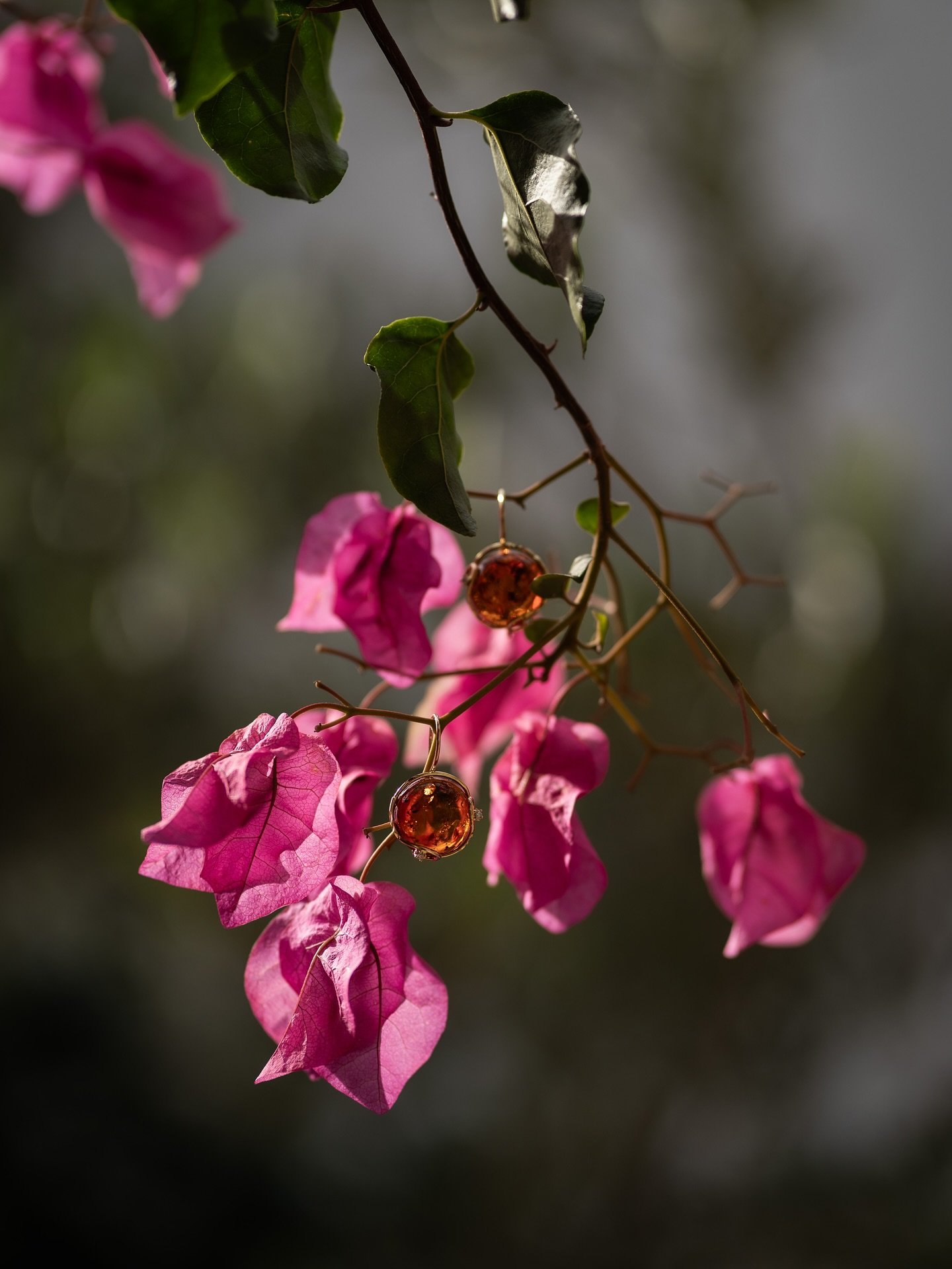 Ci ispiriamo al mare, ma non solo
L&rsquo;isola &egrave; fatta di colori, di luce e fioriture inattese 

&bull; Orecchini in ambra, zirconi e oro 18kt

Vuoi essere avvisato prima di tutti gli altri dei nuovi arrivi?
Iscriviti alla nostra newsletter 
