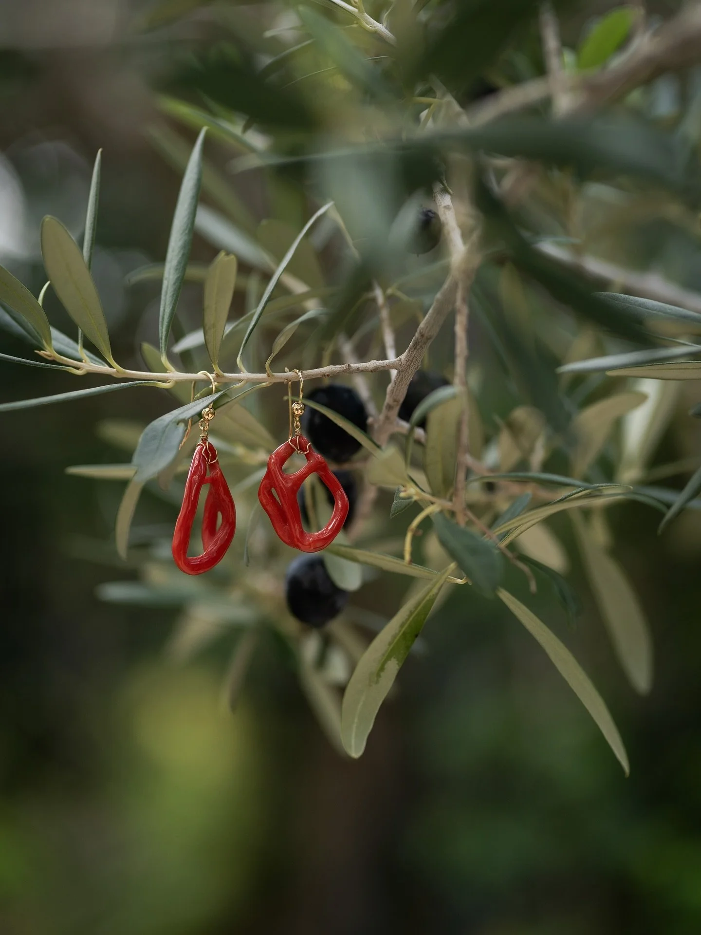 Ti piacerebbe ricevere notizie in anteprima sui nuovi gioielli?

O avere la precedenza su nuove pietre e coralli prima che arrivino in boutique?

Iscrivendoti alla nostra newsletter, ogni novit&agrave; arriva direttamente a te, con consigli e scelte 