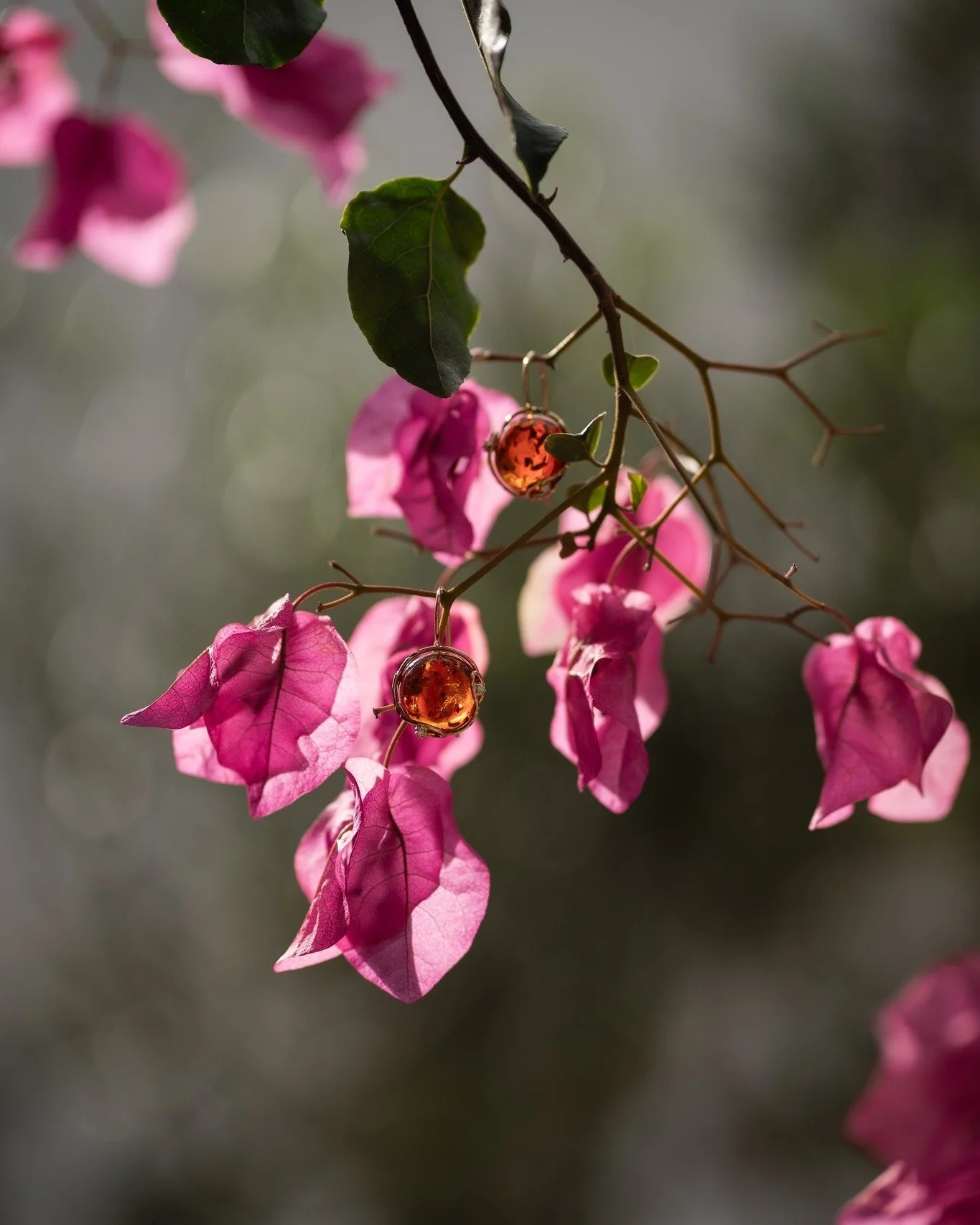 Ci sono giorni in cui l&rsquo;isola cambia.
La luce diventa pi&ugrave; morbida, il vento si fa leggero, e nei giardini iniziano a comparire i primi colori. La primavera qui non arriva all&rsquo;improvviso. Si avvicina lentamente.

Anche il lavoro di 