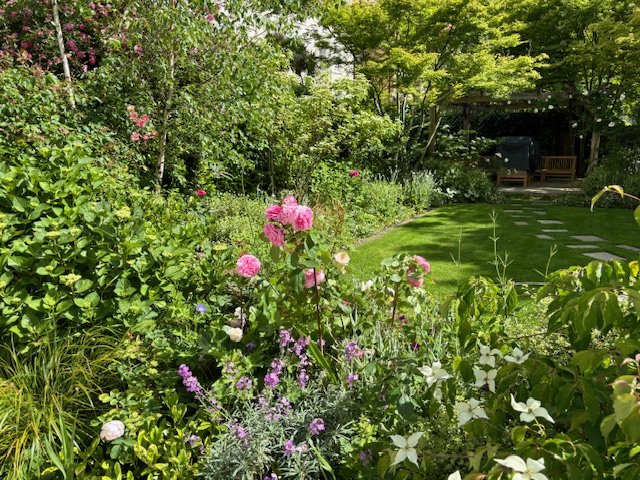 rose garden in little venice
