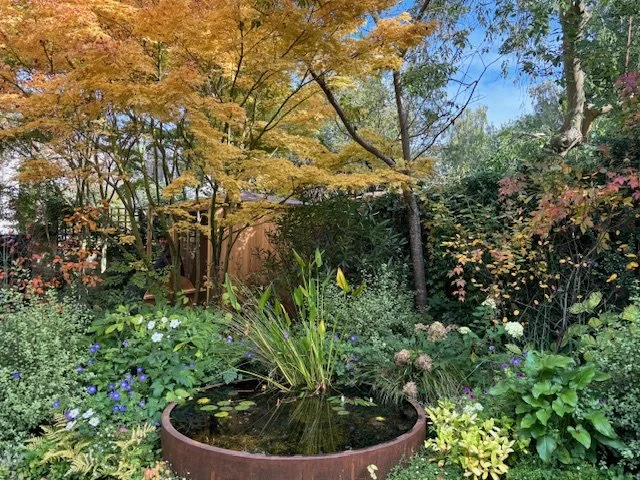 wildlife friendly garden design london 