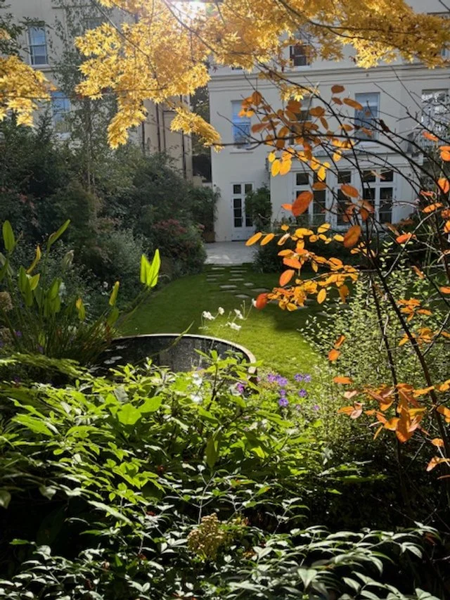 wildlife friendly garden in little venice