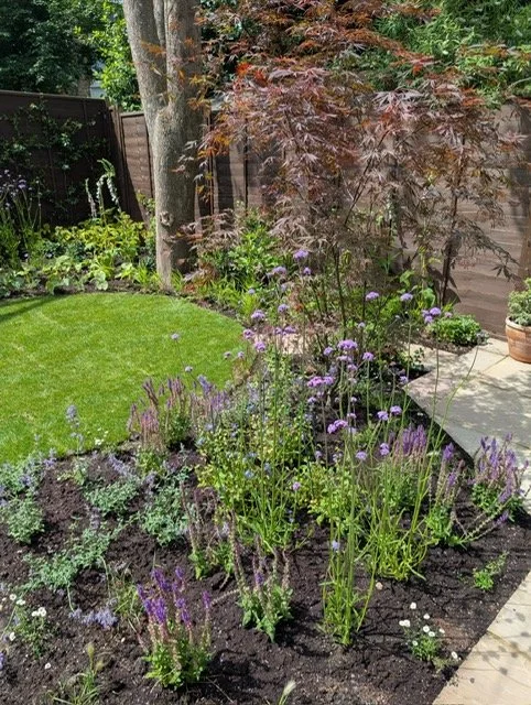 pollinator palnts and garden design in crouch en d