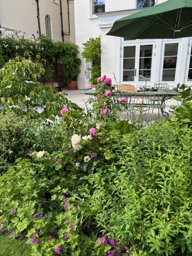 rewilding london with good garden design