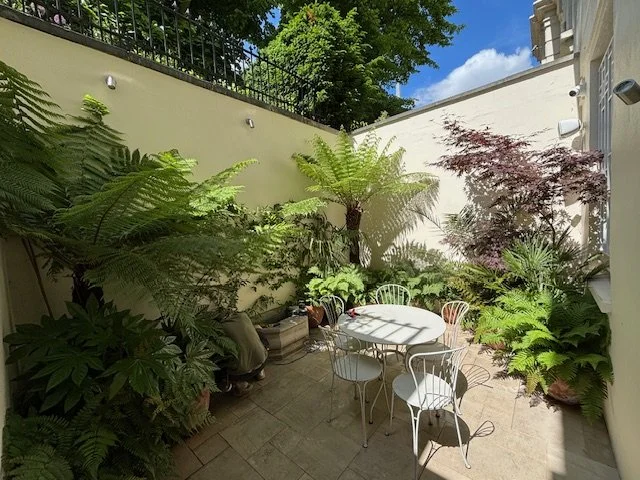 a fernery courtyard garden design in Notting hill