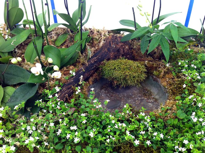 terrariums-london-greenwall-plant-wedding-table-flowers-party-events-curious-gardener-4.jpg