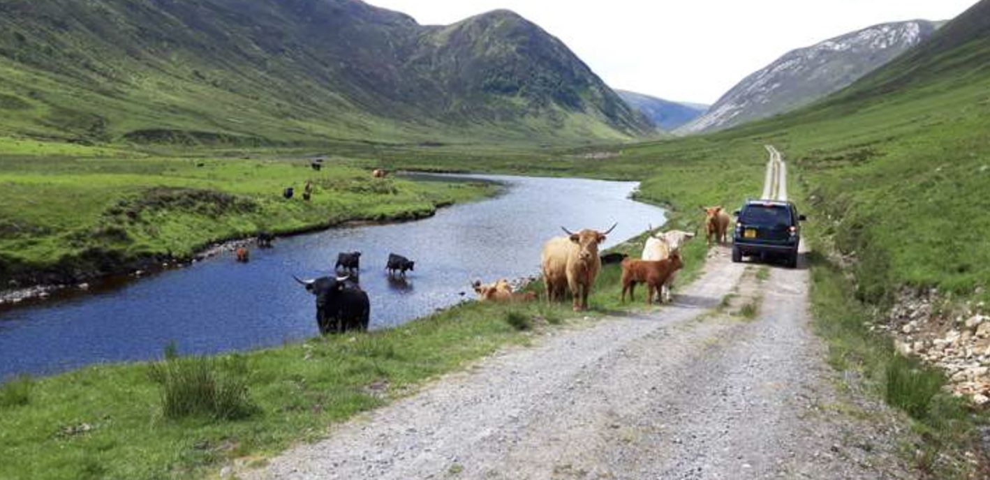 Five Alternatives to (Sizzling Hot) Europe This Summer