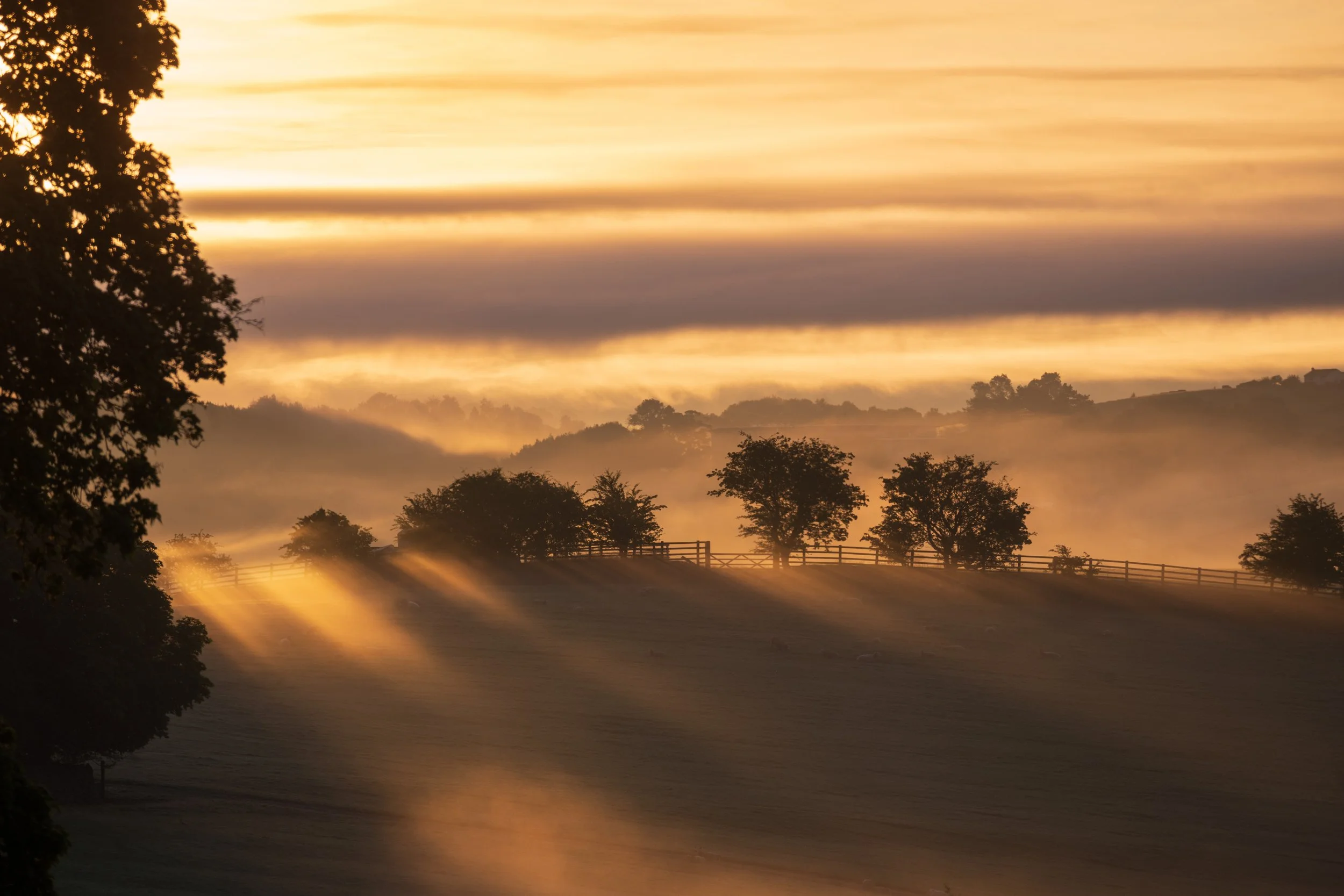 evening-sun-broughton-sanctuary.JPG