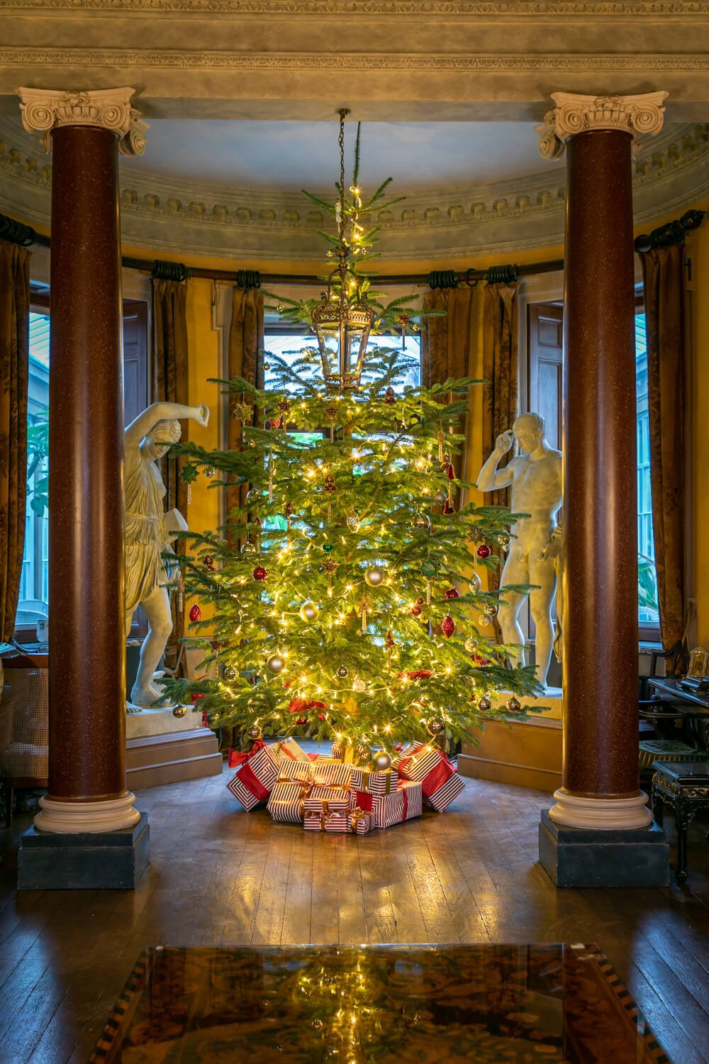 christmas tree-1.JPG