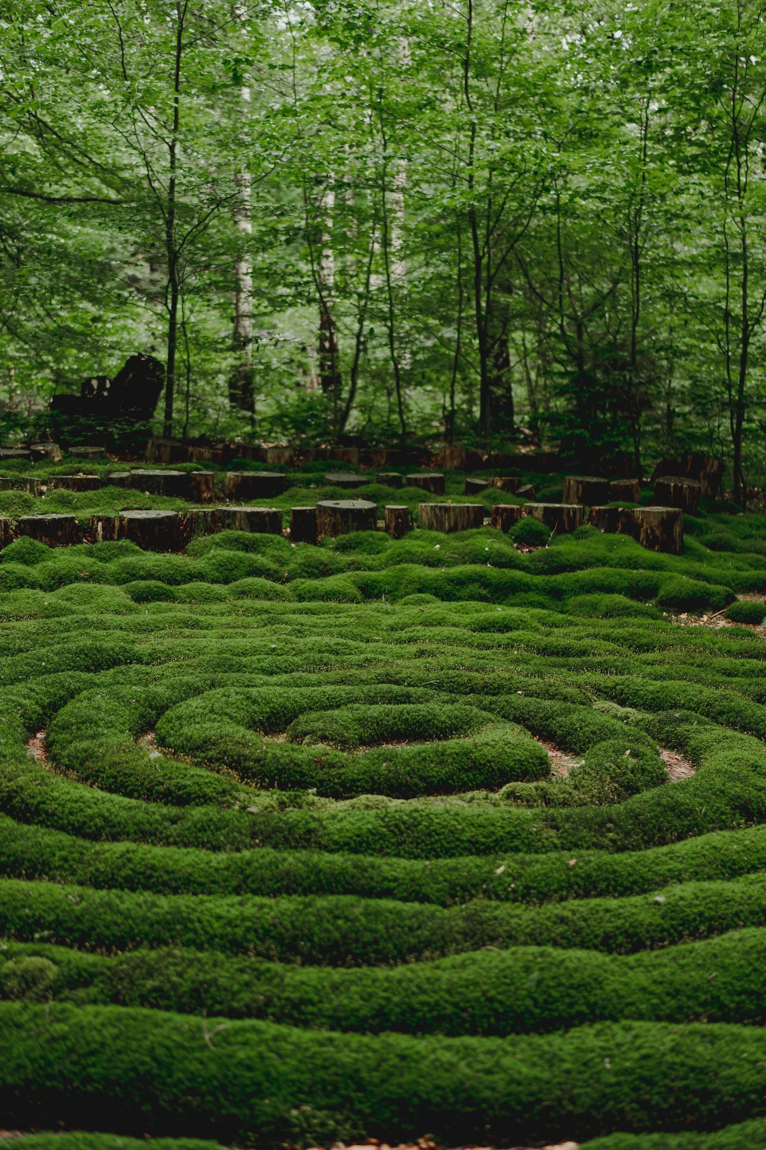 Copy of Image036.jpg