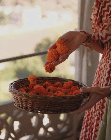 Screen Shot 2026-03-11 at 11.06.20 AM.png