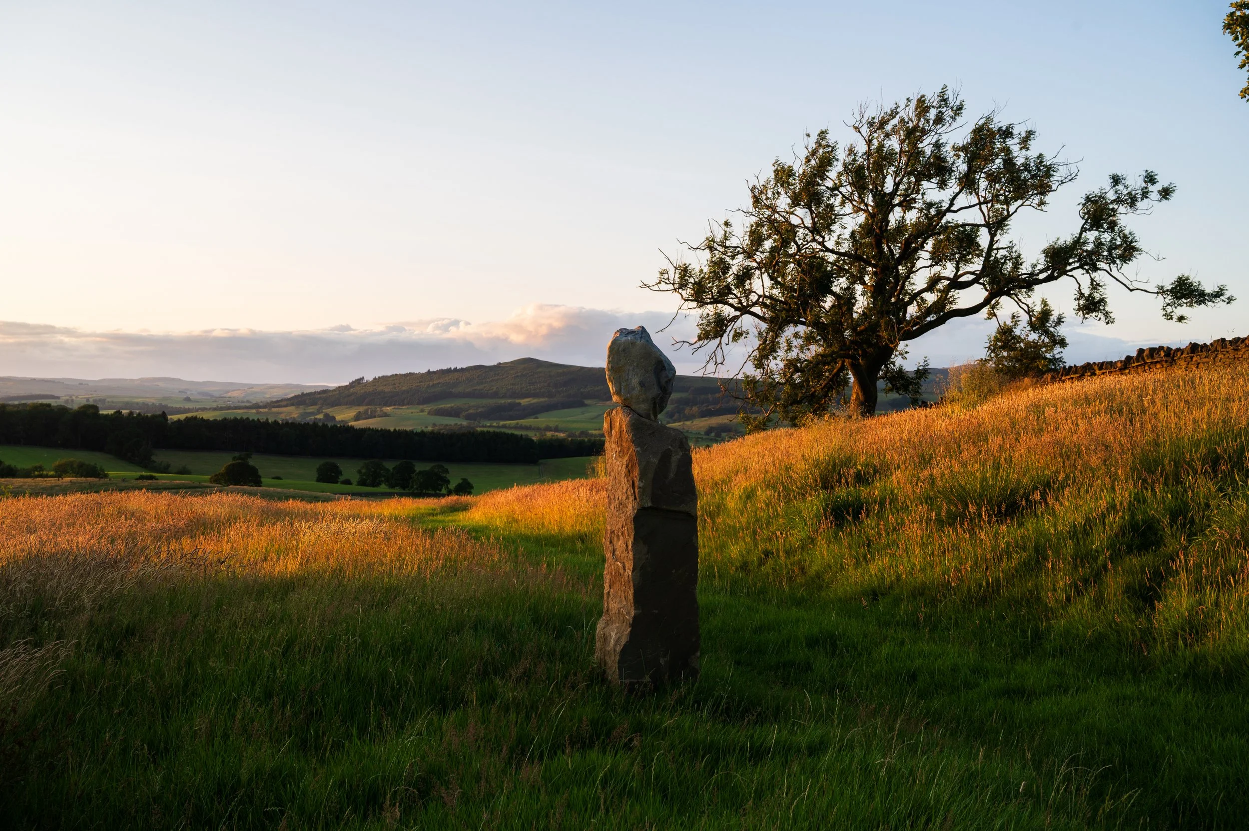 broughton landscape 44_SJ.jpg