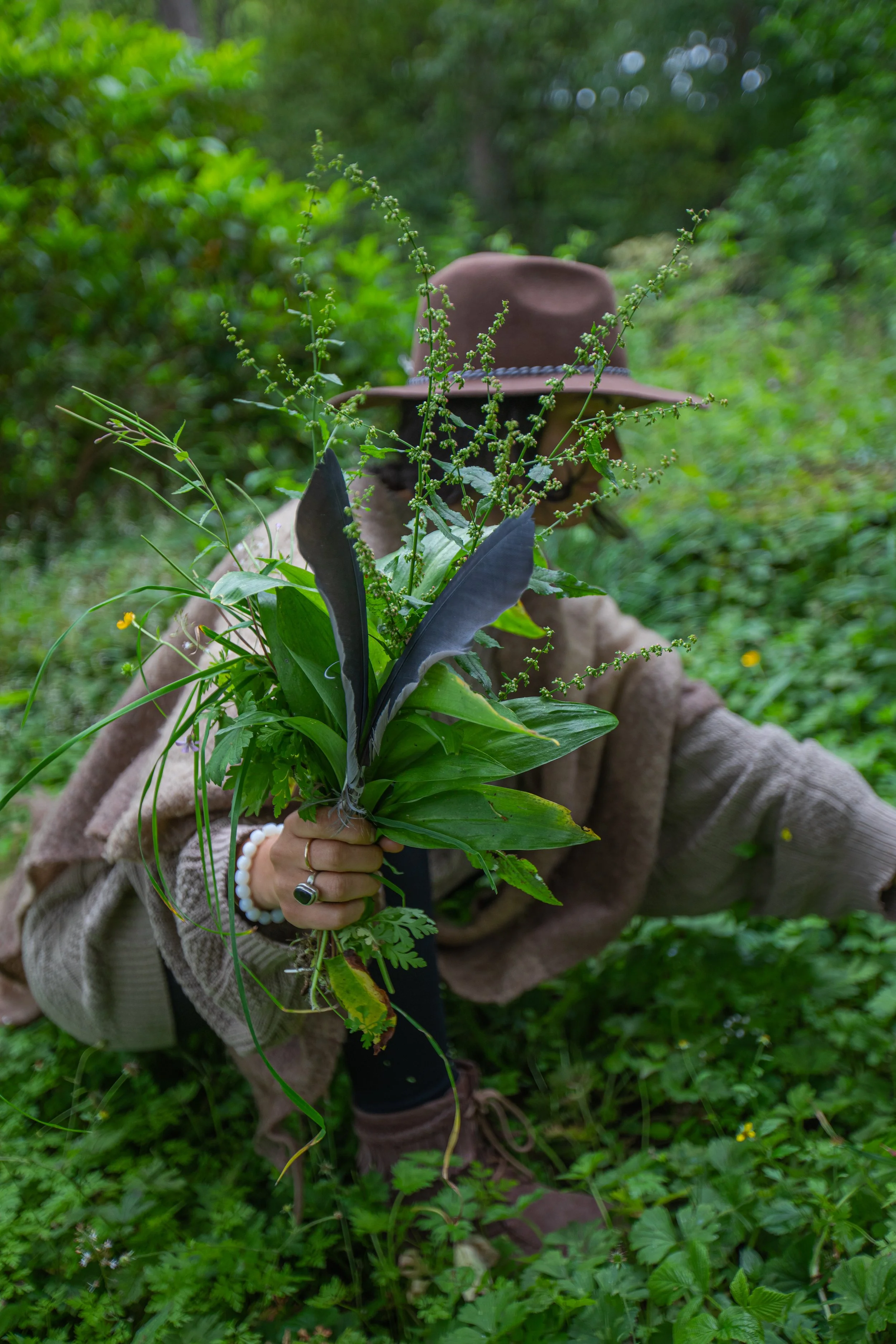 foraging-broughton-sanctuary.JPG