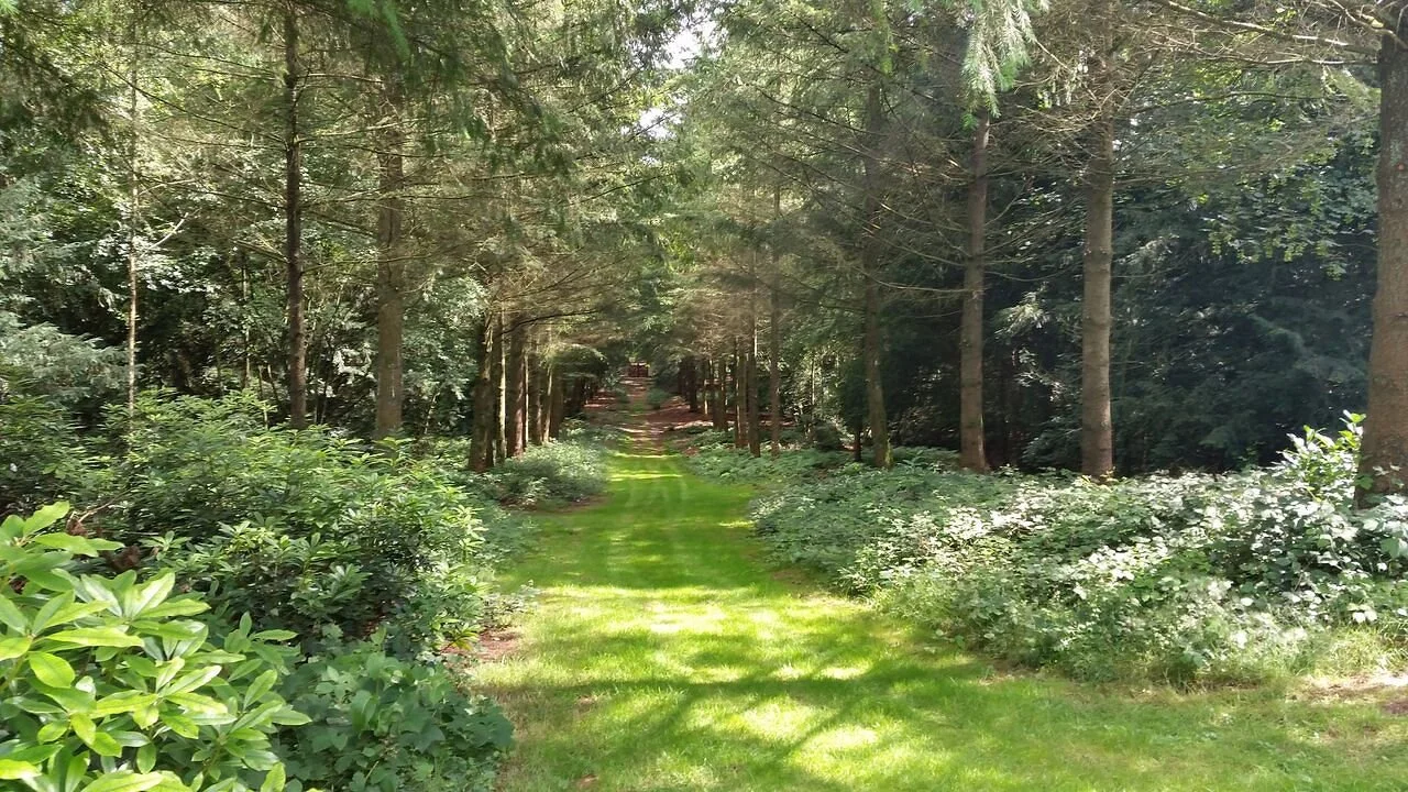 Copy of retreatweekend26.jpg