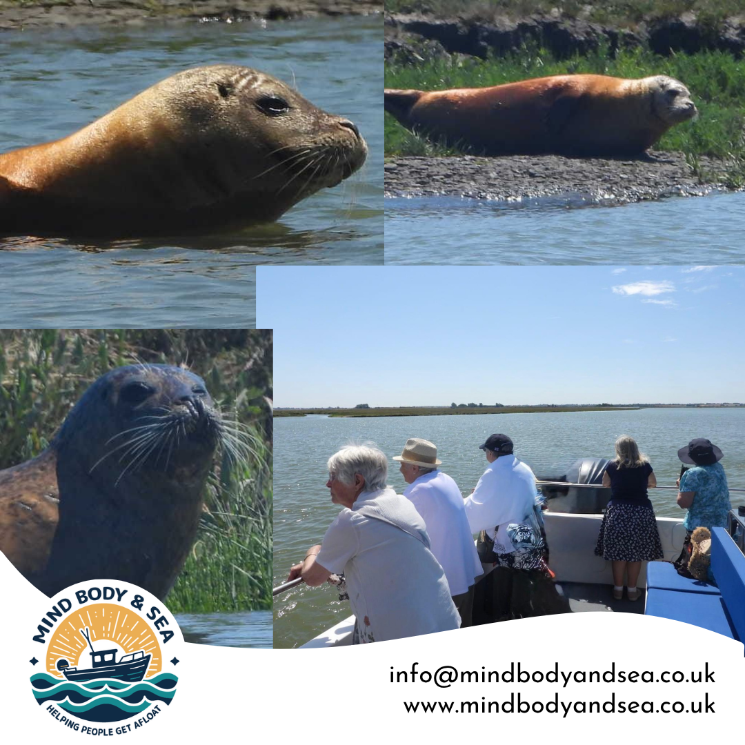Shared Stories and Seal Spotting - A Day on the Water with the Hope Trust