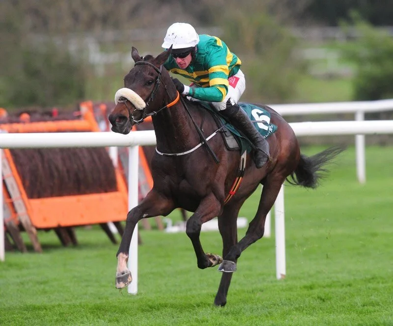 Looking through the archives, we remember this week seven years ago @punchestownraces when Gypsy Island won the Grade 3 Weatherbys General Stud Book Irish EBF Mares INH Flat Race, also known as the mares&rsquo; bumper. Gypsy Island was a homebred, ra