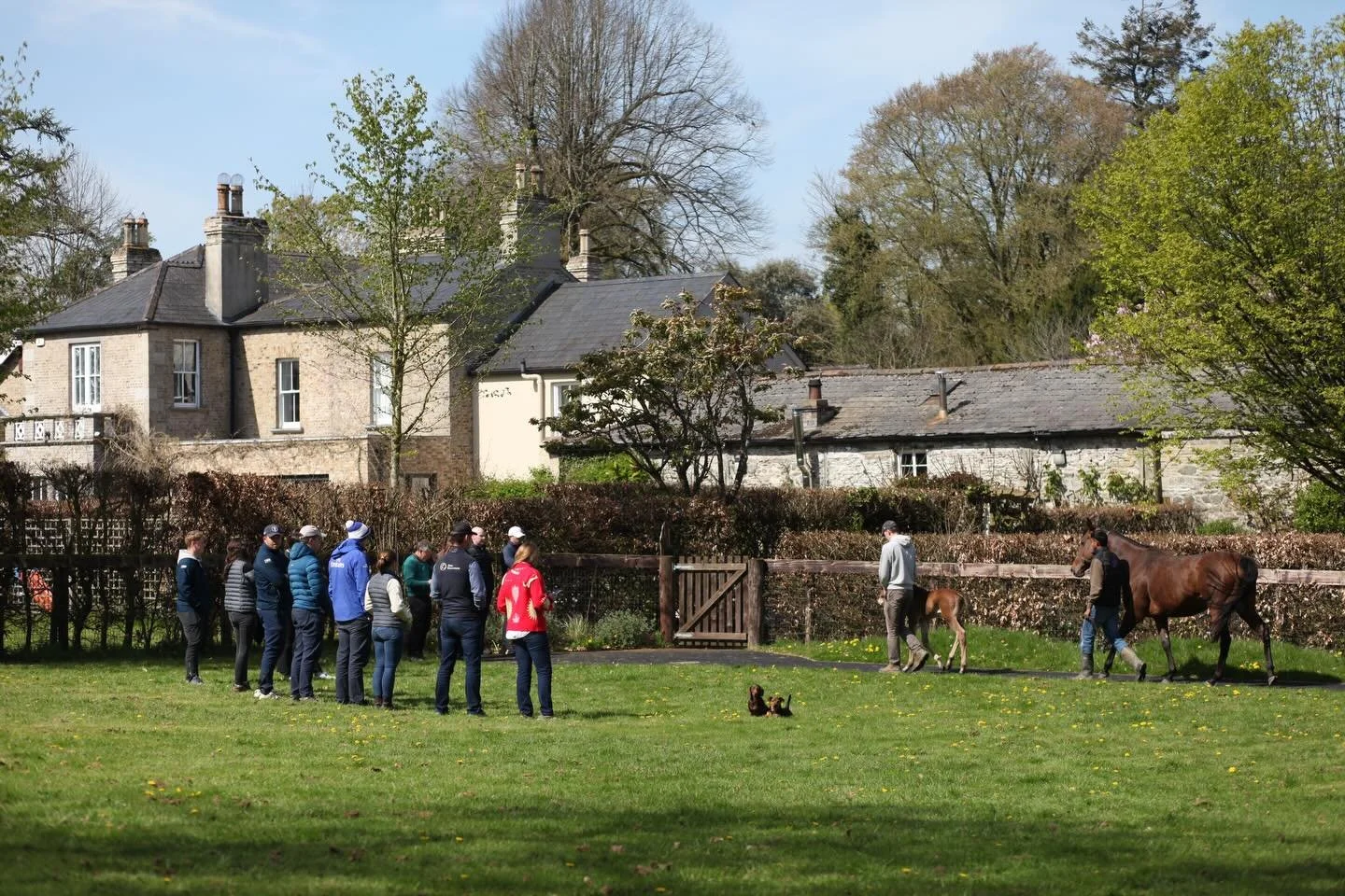 Great to welcome the 2nd year @godolphinflyingstart trainees to Baroda Stud today. Best of luck with your business plan pitches and graduation in June!