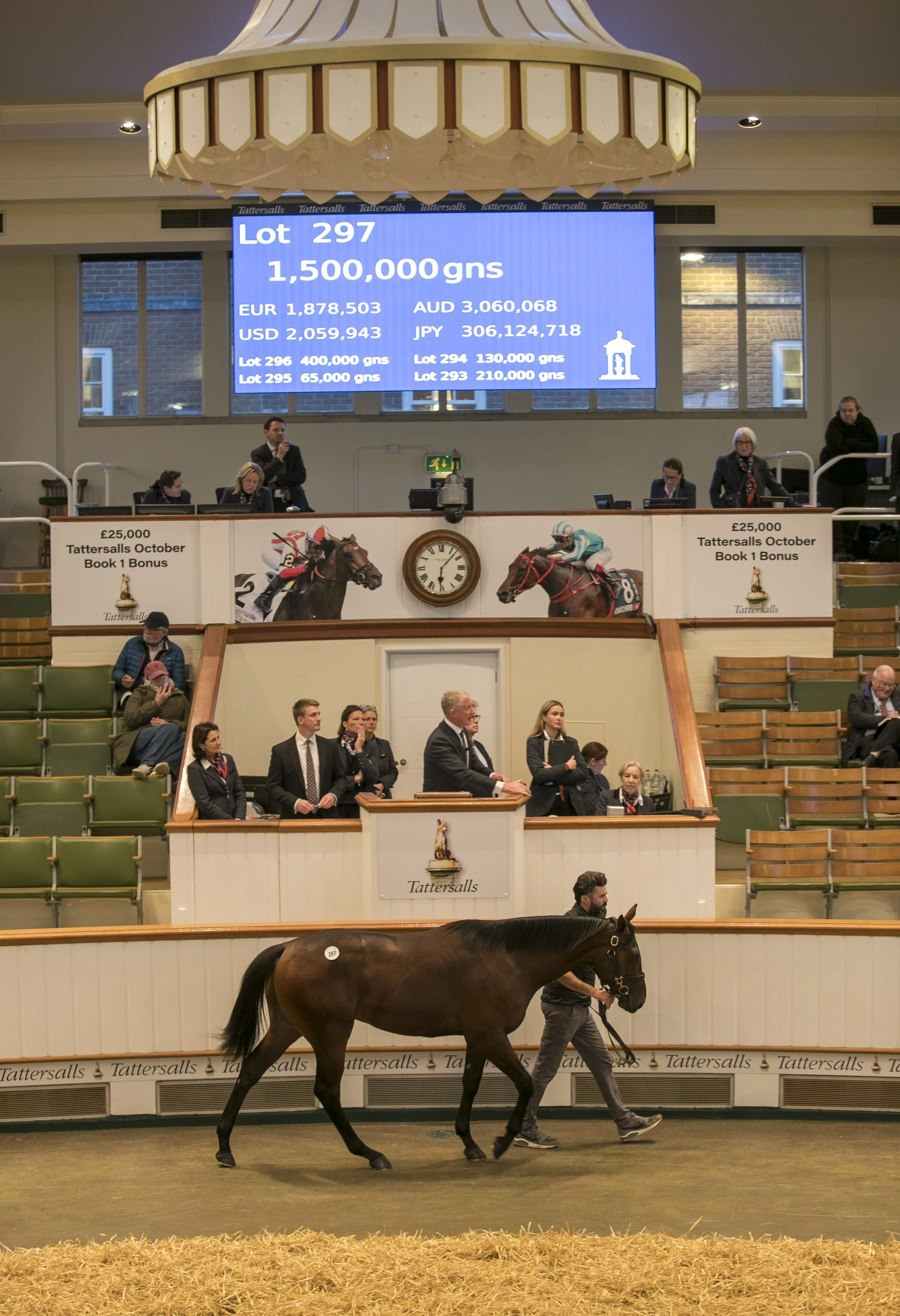 Dubawi x Molly Malone colt
