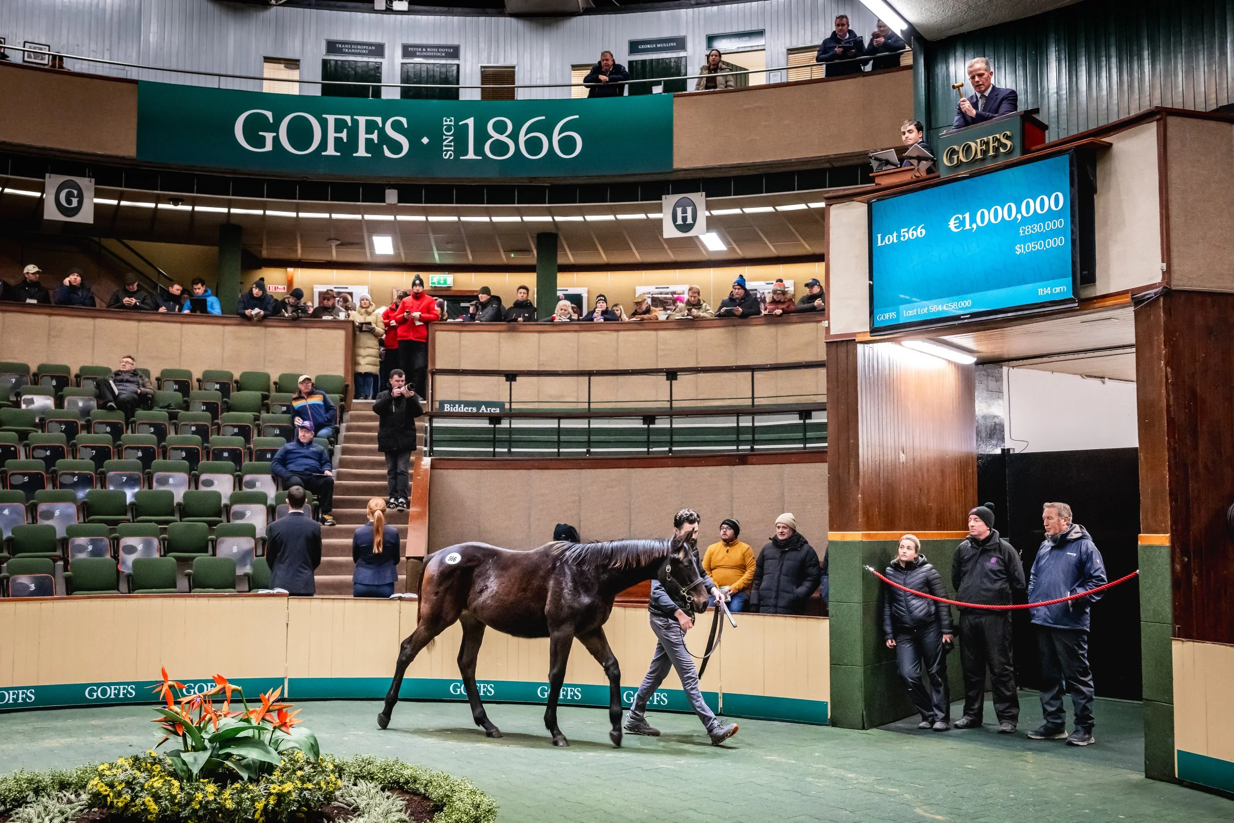 Sea The Stars x Ambivalent colt  €1,000,000