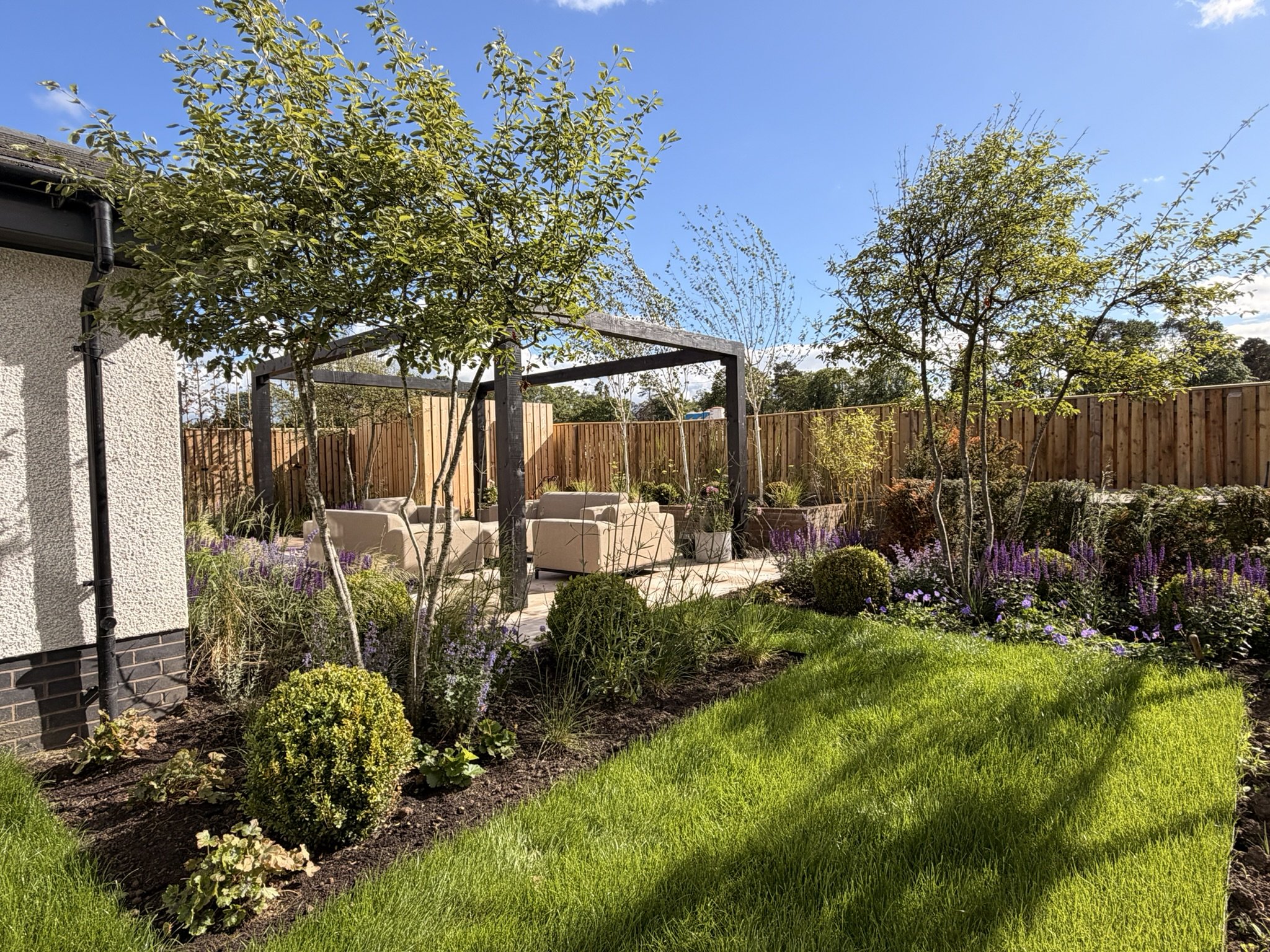 Elegant multi stemmed trees with underplanting
